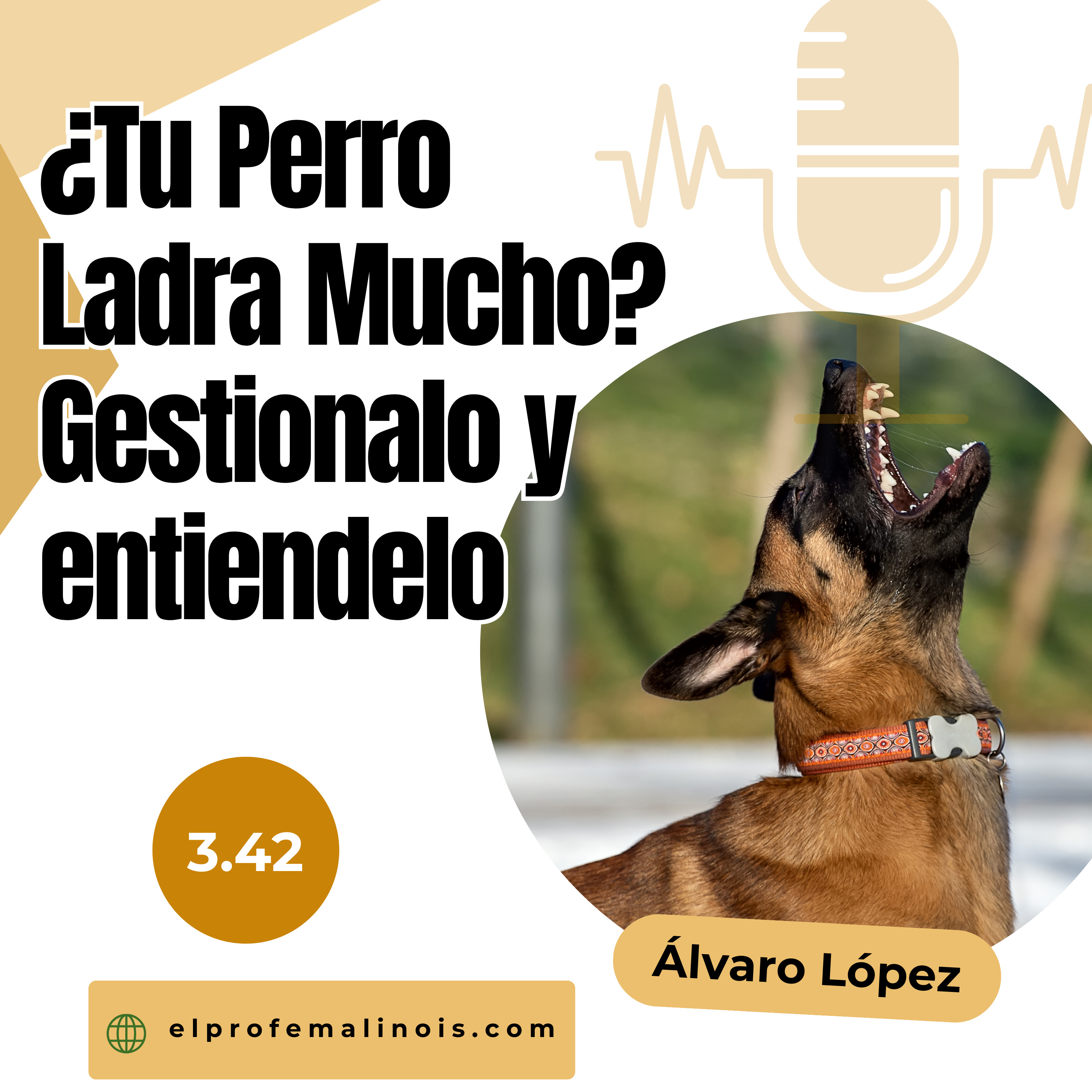 3.42 ¿Tu Perro Ladra mucho? Gestiona y entiende los tipos de ladridos que hay episode artwork