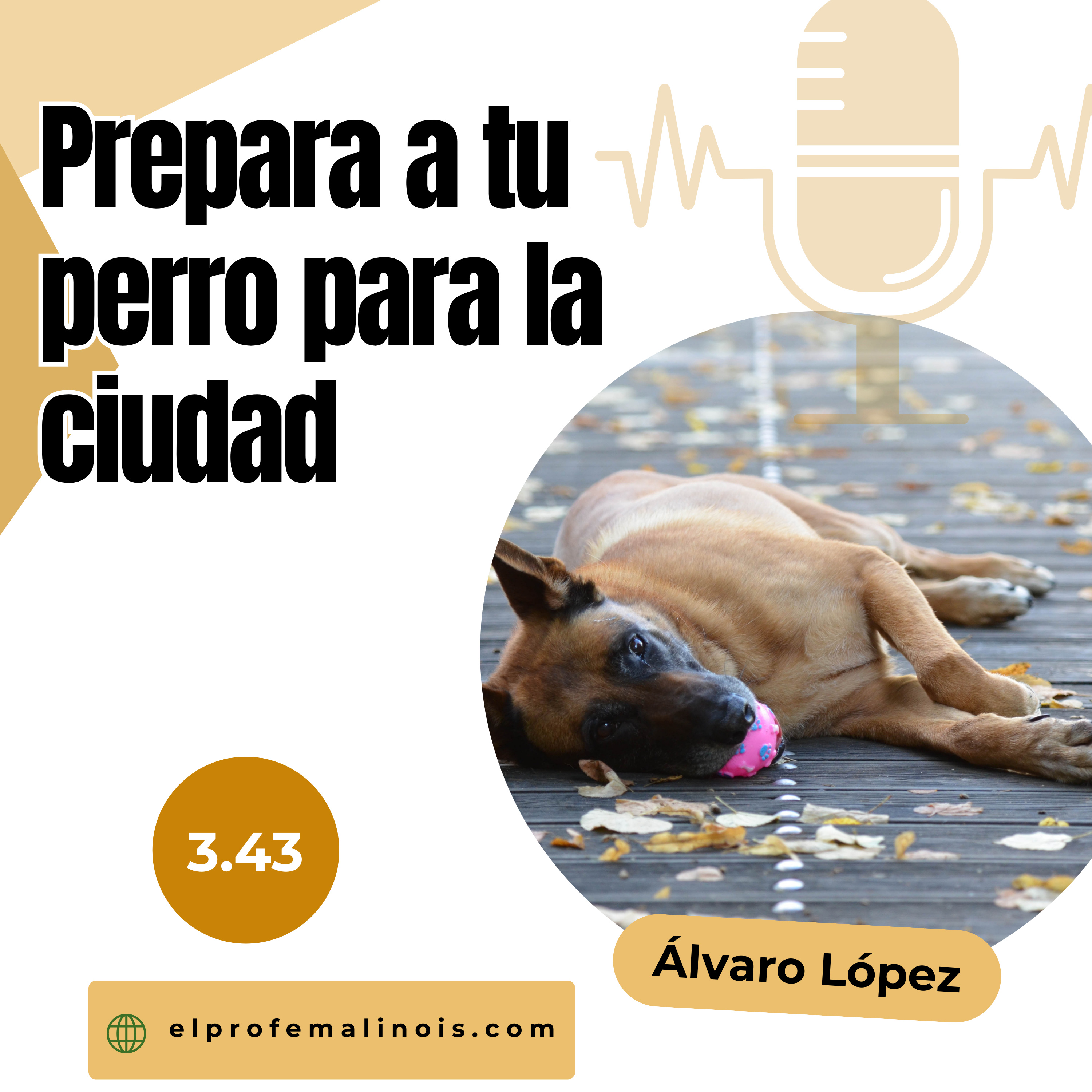 3.43 Cómo Preparar a tu Perro para la Vida en la ciudad: Retos y Soluciones episode artwork