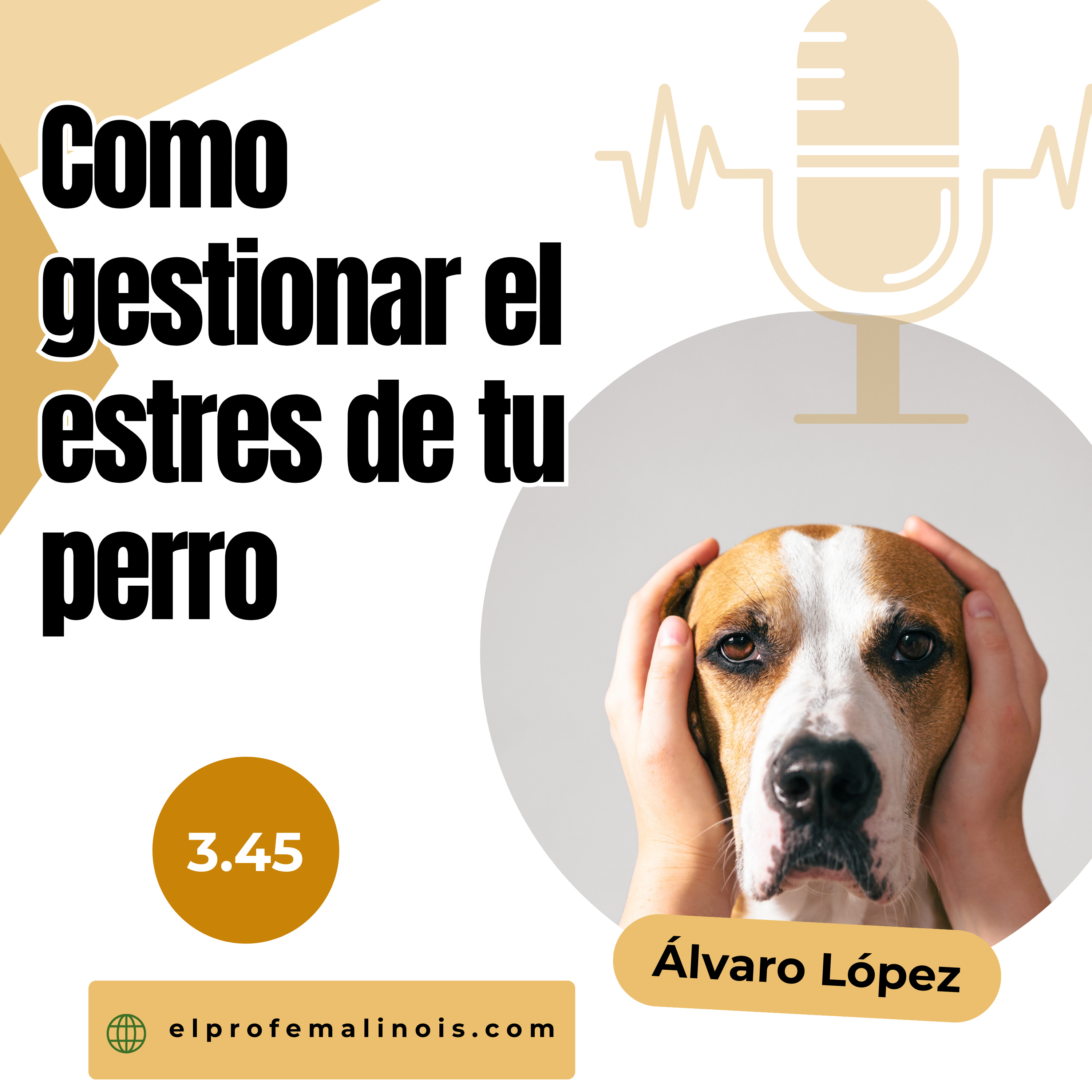 3.45 Cómo manejar el estrés de tu perro episode artwork