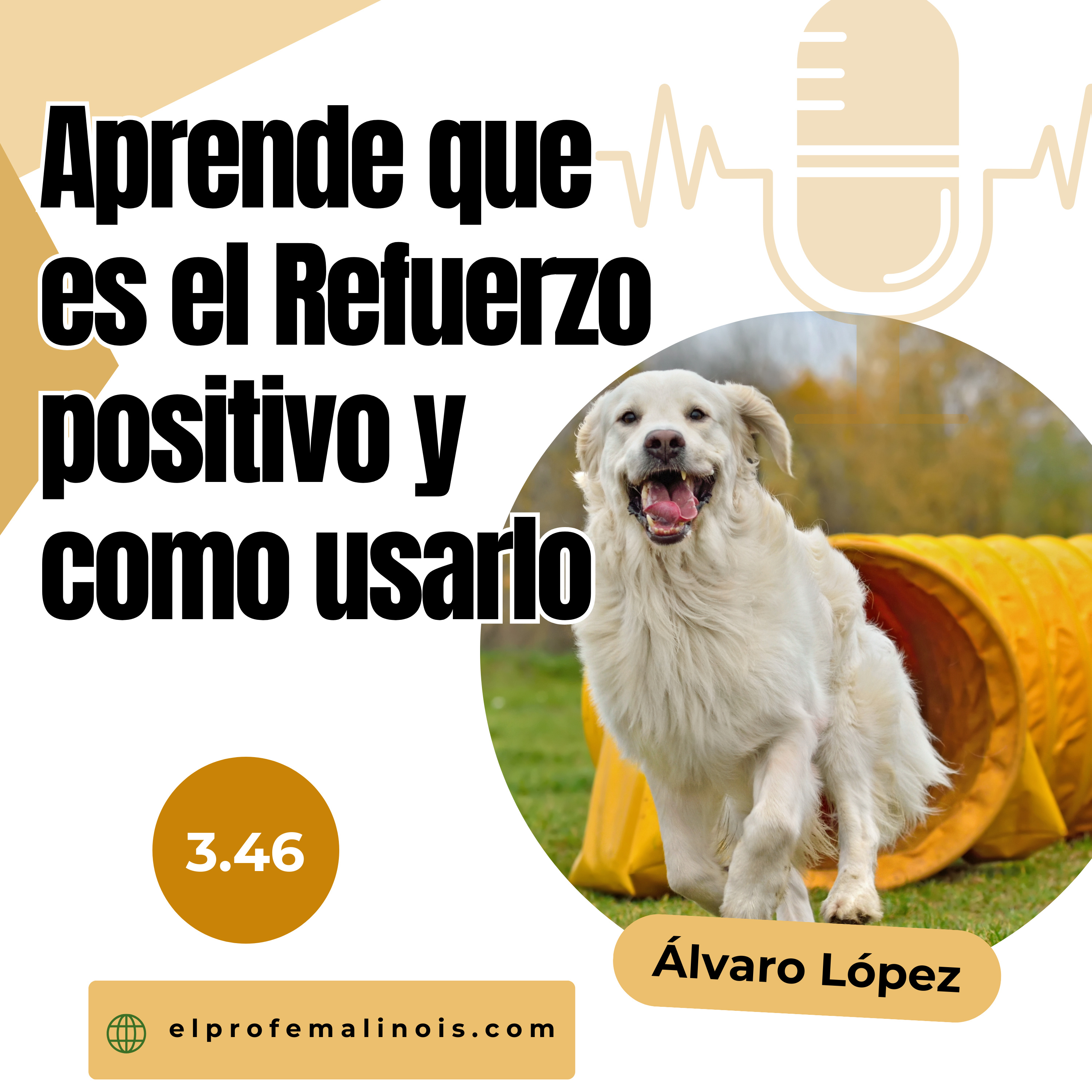 3.46 Refuerzo positivo explicado: Qué es, cómo usarlo y errores a evitar episode artwork
