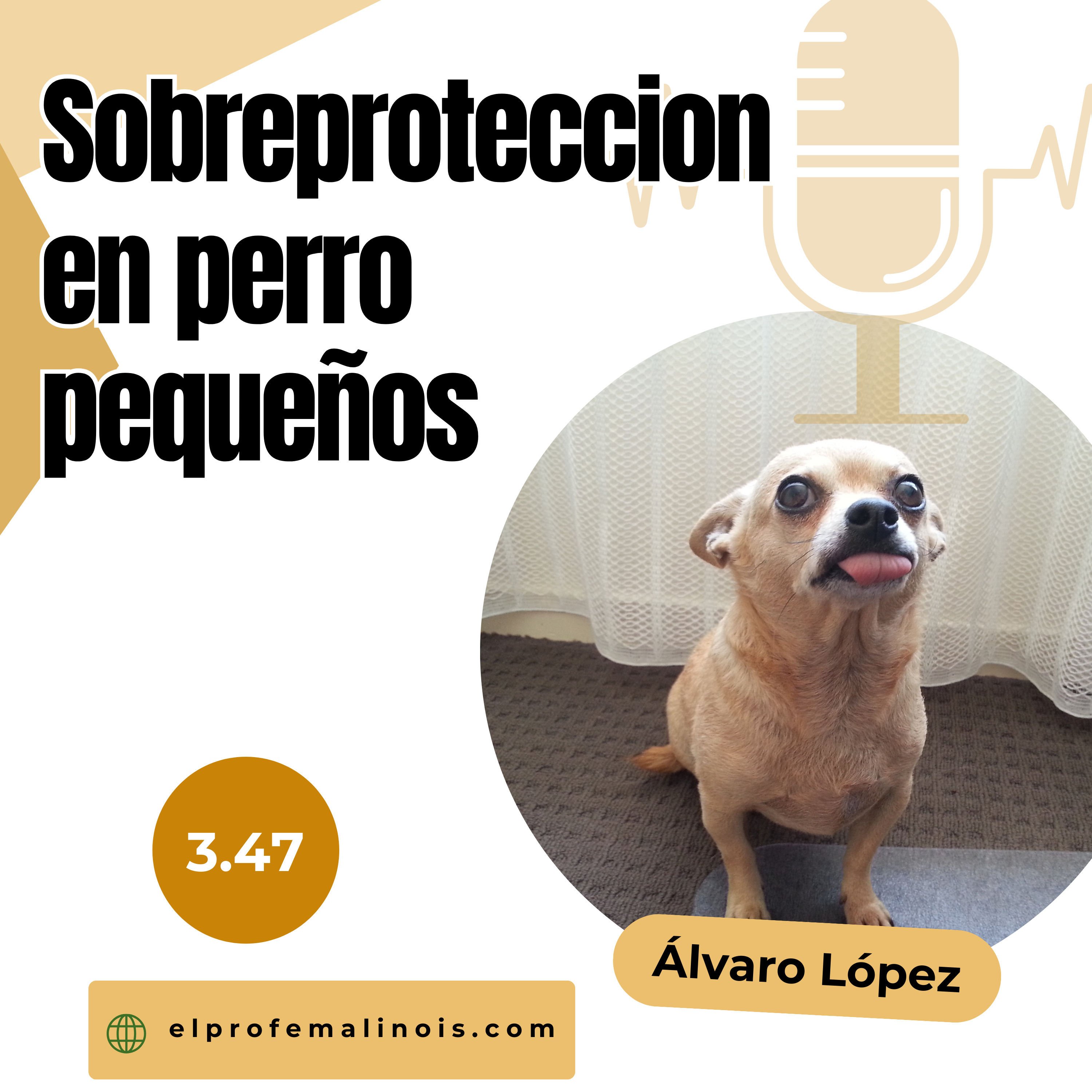 3.47 Sobreprotección en perros pequeños: Lo que estás haciendo mal episode artwork