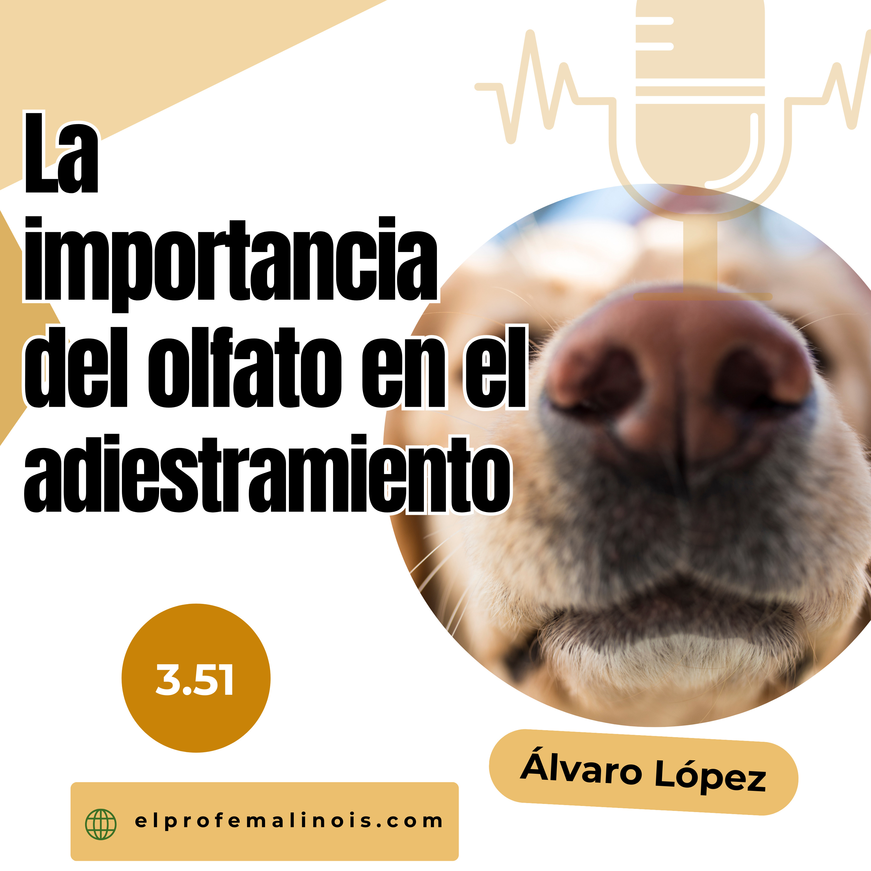 3.50 La importancia del olfato en el adiestramiento: cómo potenciar la habilidad más poderosa de tu perro episode artwork