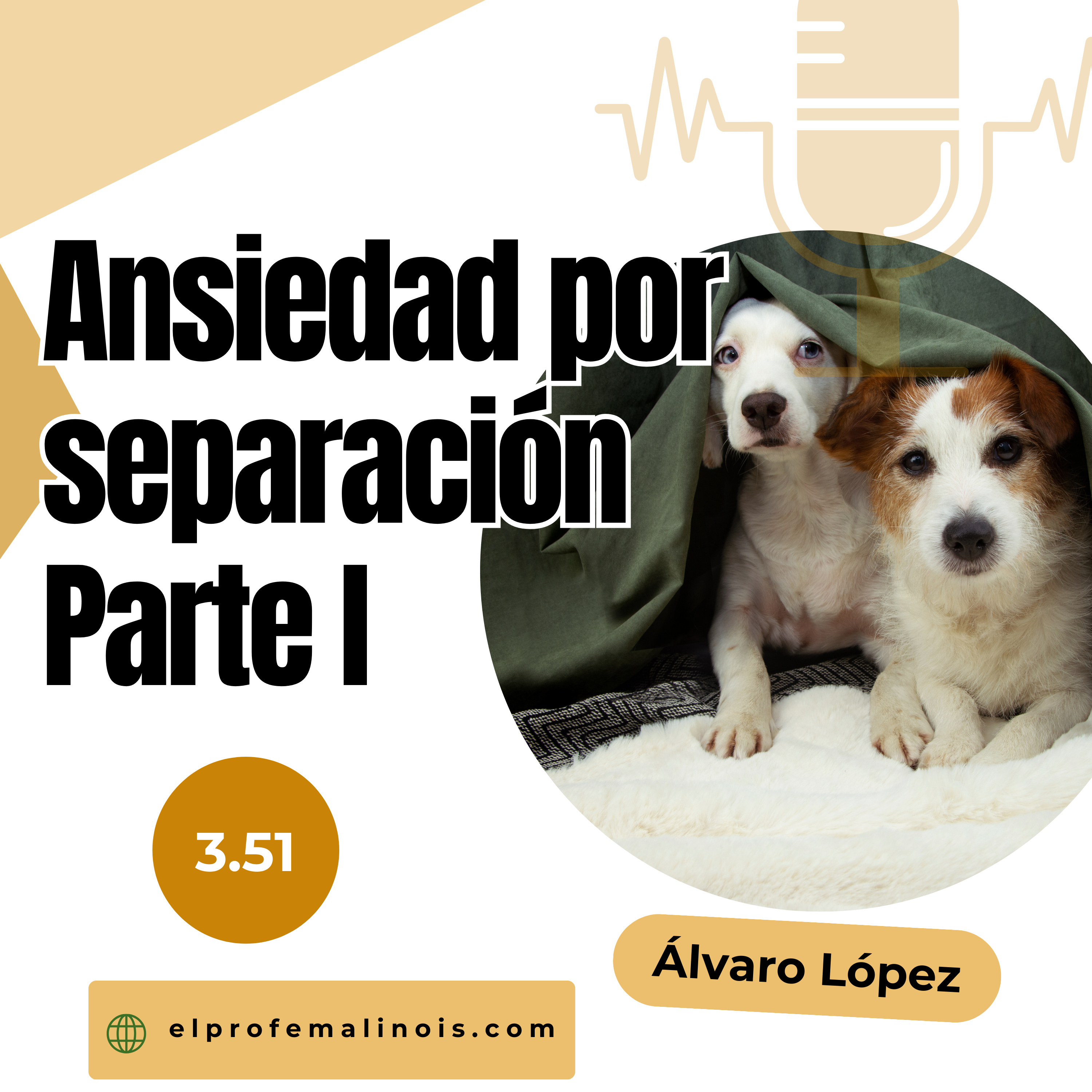 3.51 Ansiedad por Separación en Perros: Qué Es, Cómo Prevenirla y Errores a Evitar episode artwork