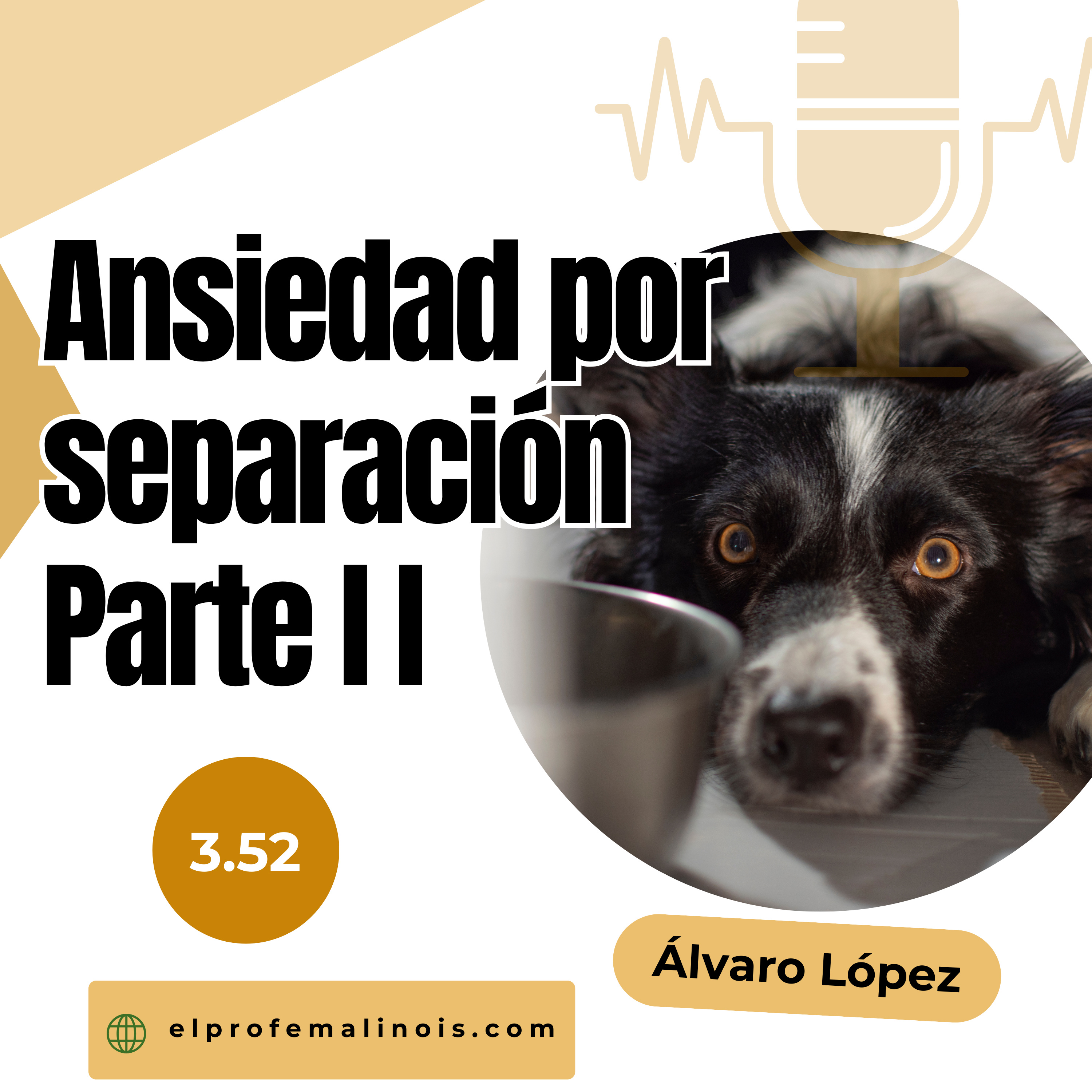 3.52 Ansiedad por Separación en Perros (Parte 2): Cómo Trabajarla y Qué Evitar a Toda Costa episode artwork