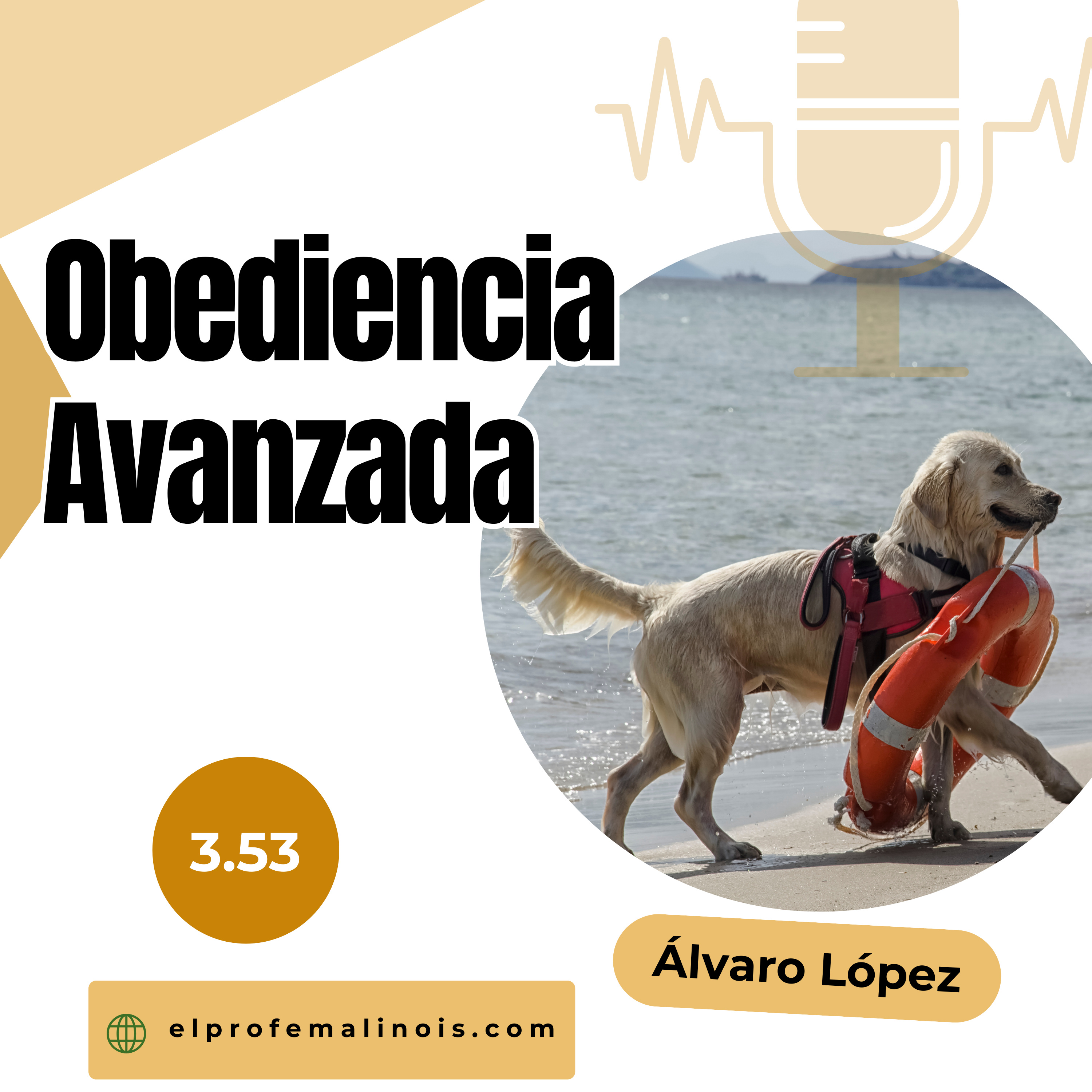 3.53 Cómo Enseñar Trucos Avanzados a tu Perro y Fortalecer Vuestro Vínculo episode artwork