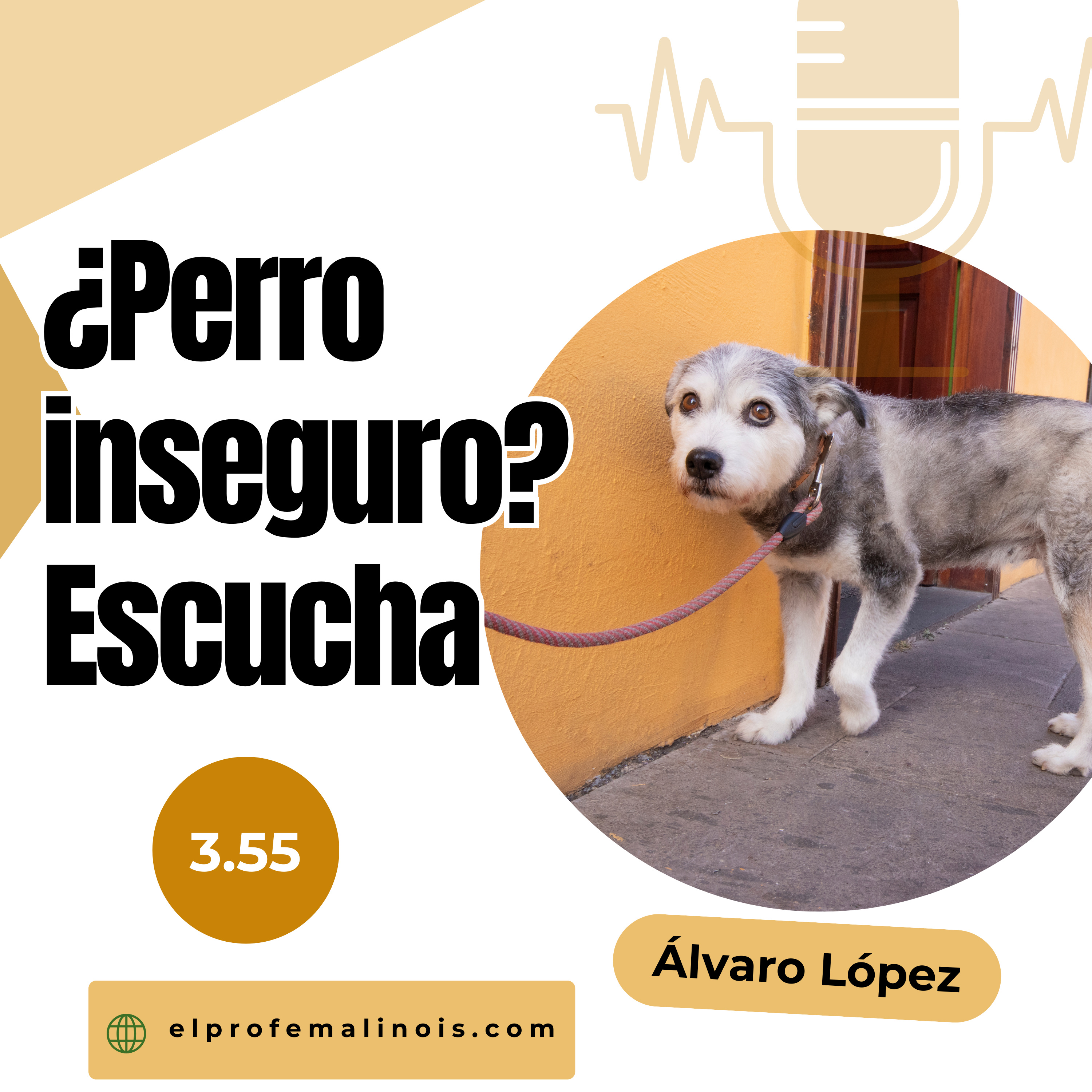 3.55 ¿Por qué tu perro es inseguro y cómo ayudarle a ganar confianza? episode artwork