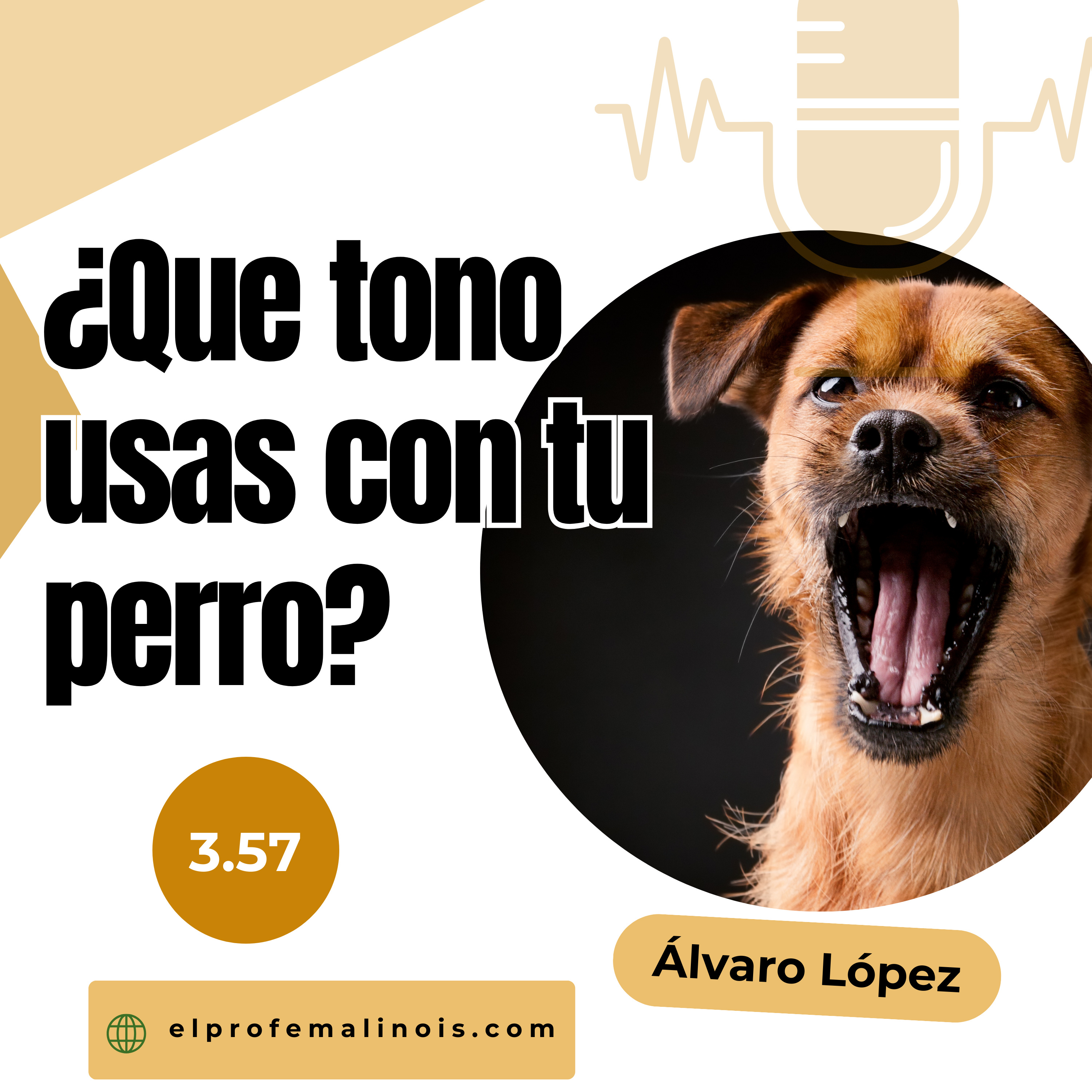 3.57 ¿Por qué tu perro NO te obedece? La clave está en tu voz episode artwork