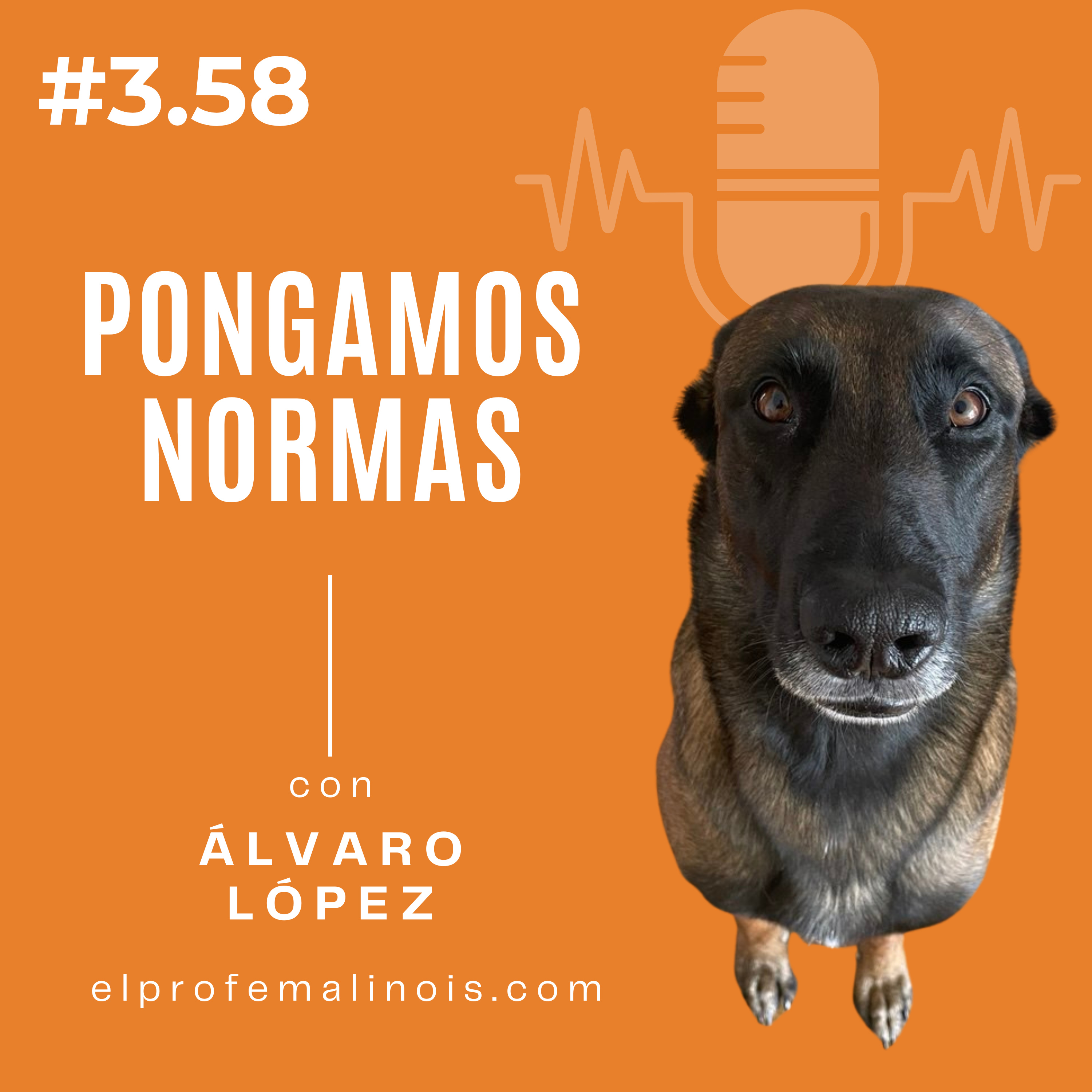 3.58 Los límites hacen feliz a tu perro (y aquí te explico por qué) episode artwork