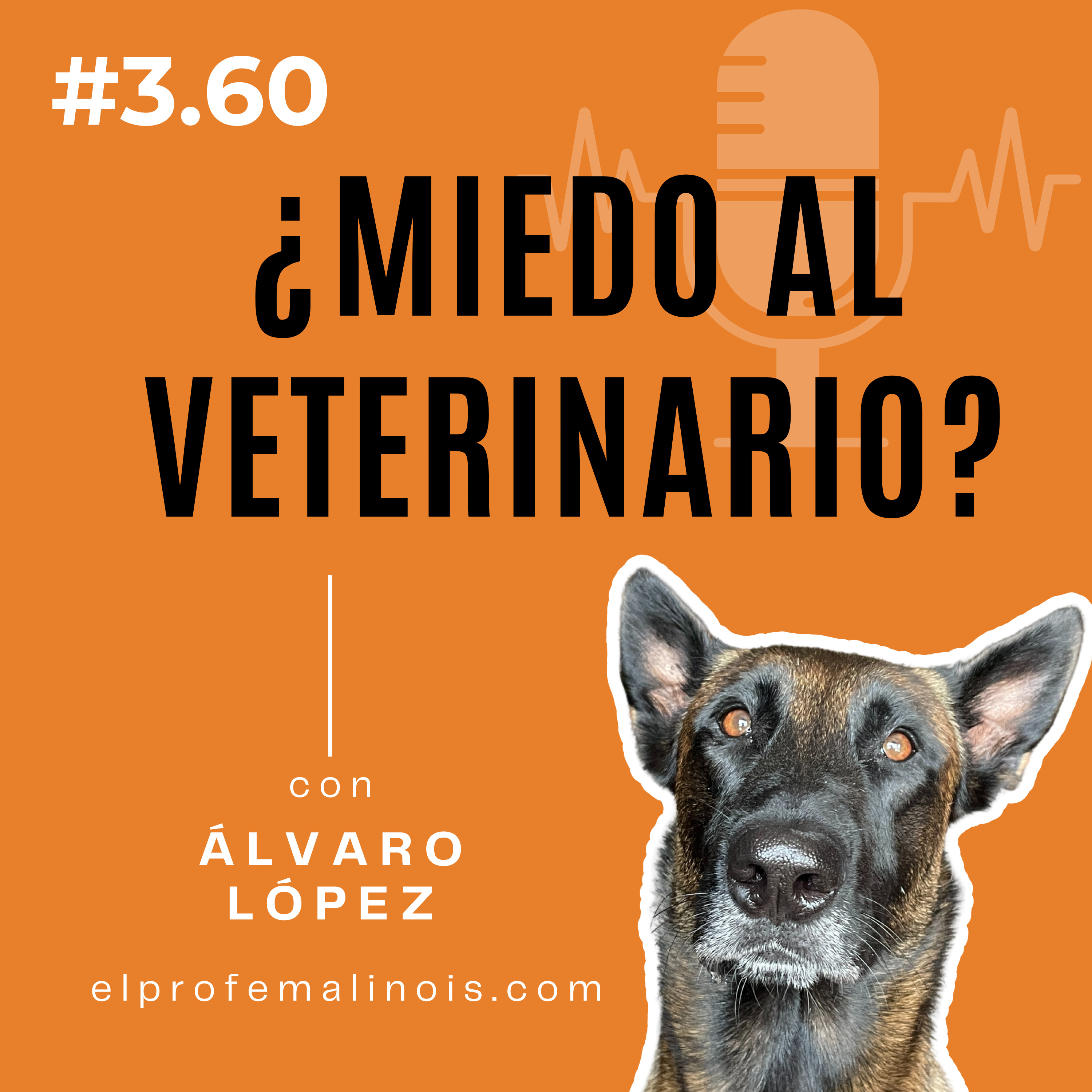 3.60 ¿Tu perro tiene miedo al veterinario? Esto es lo que puedes hacer episode artwork
