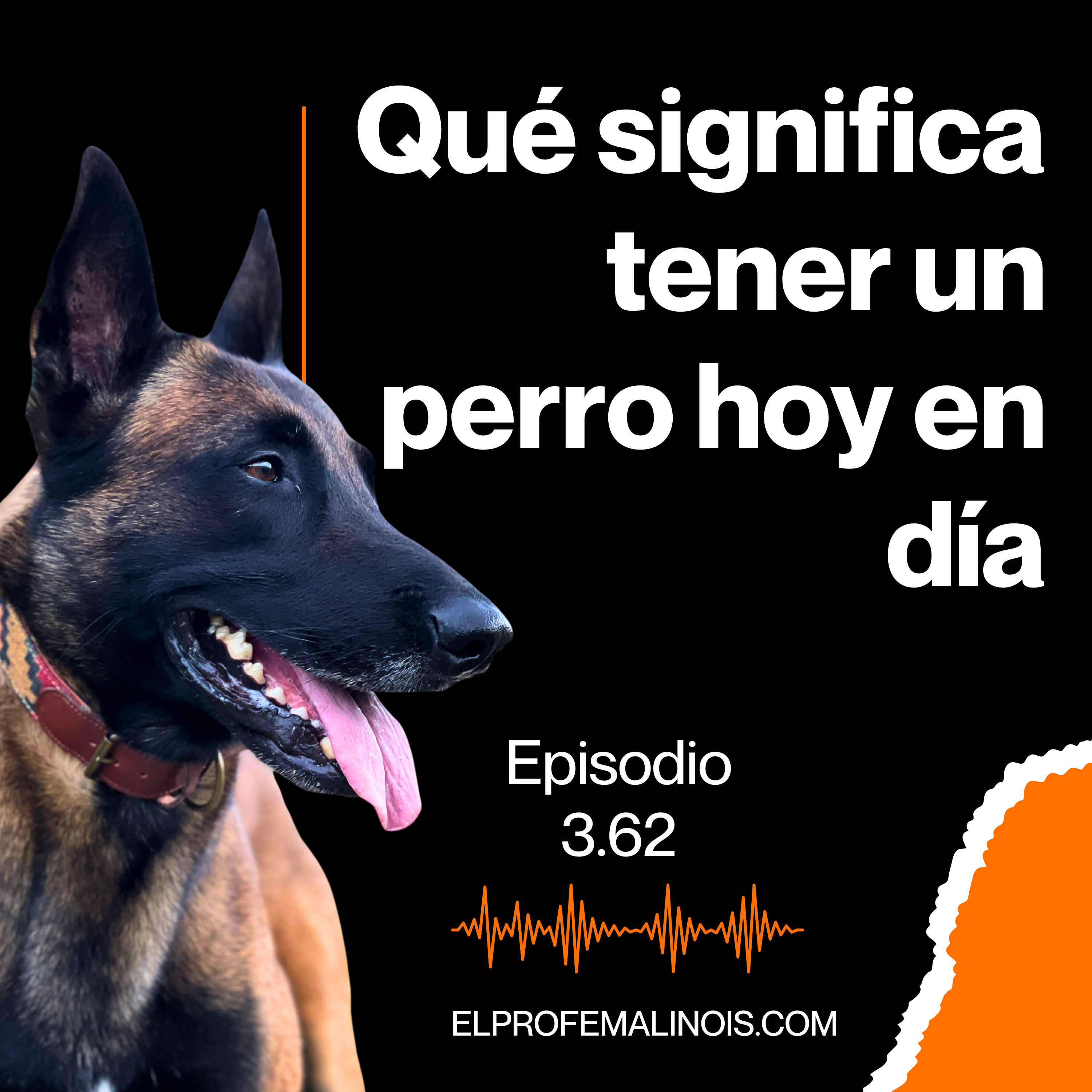 3.62. Que significa tener un perro hoy en día episode artwork