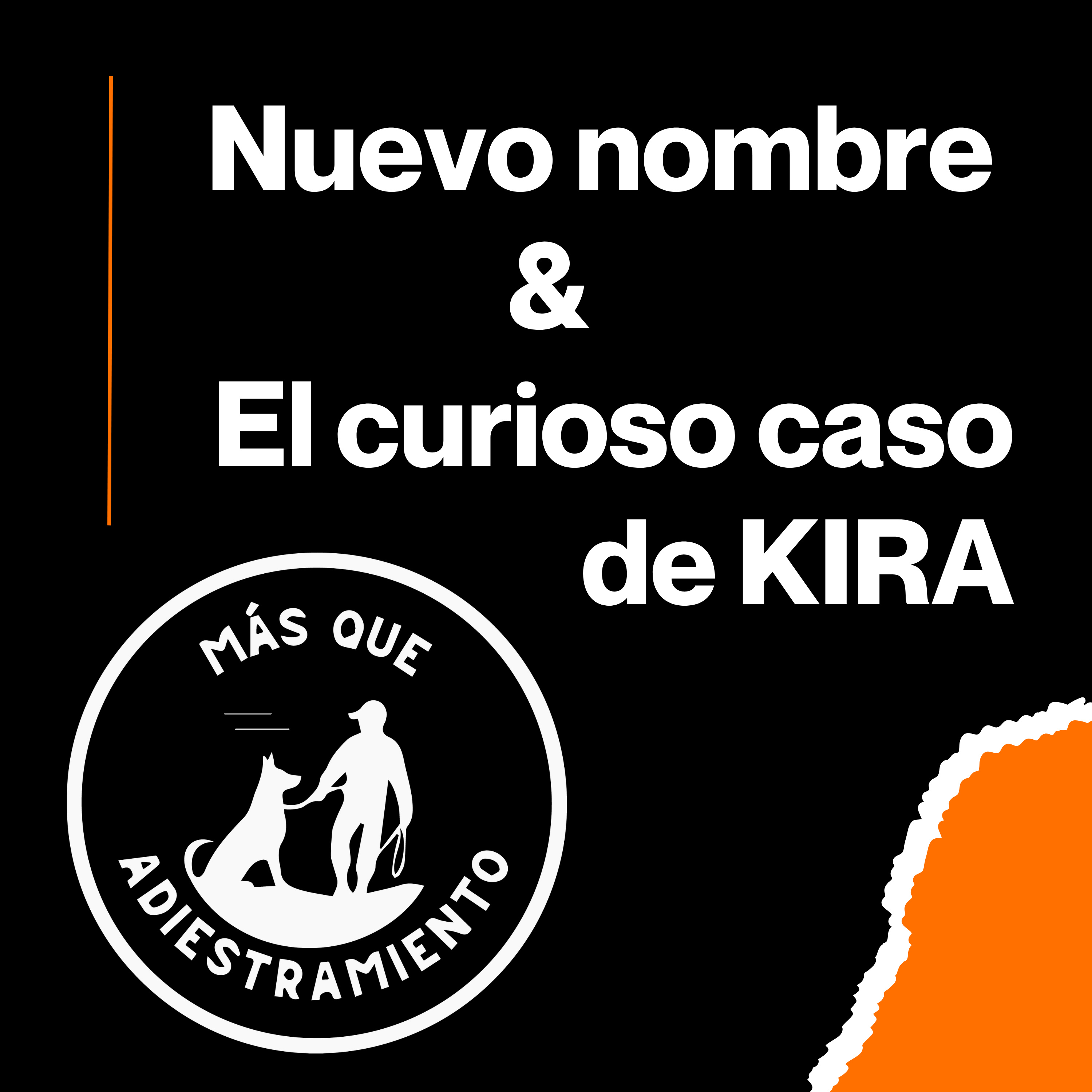 4.1 Nuevo nombre, misma misión: nace MÁS QUE ADIESTRAMIENTO + caso real de reactividad (Kira) episode artwork