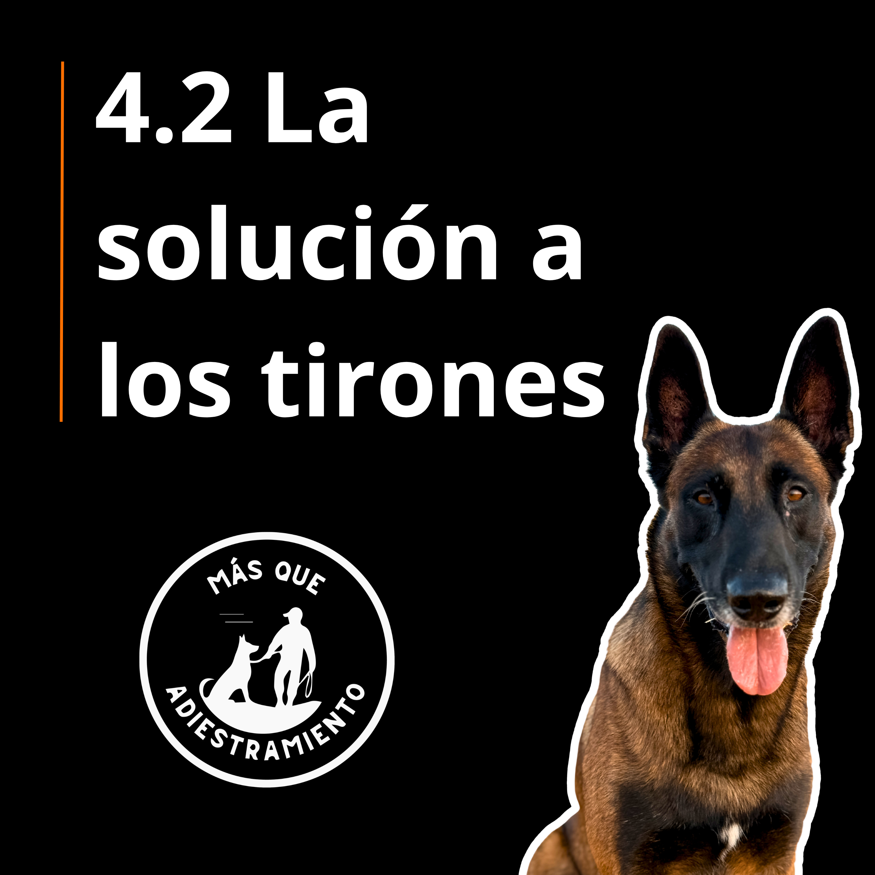 4.2 Logra un Paseo SIN tirones: 3 maniobras de calle que sí funcionan episode artwork