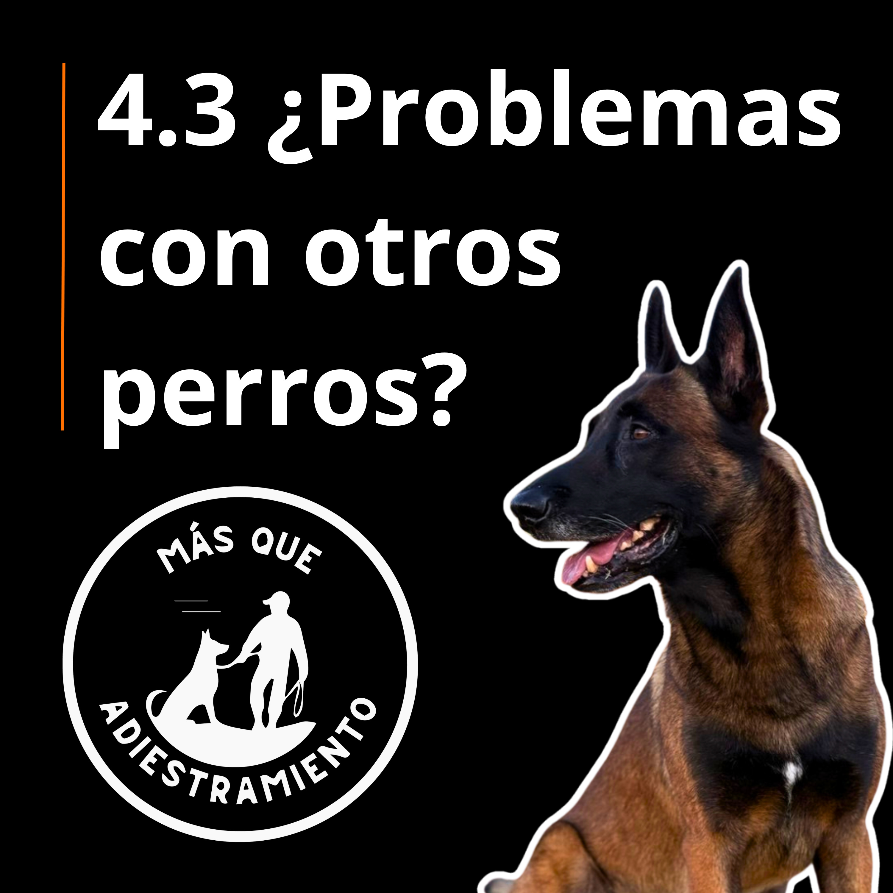 4.3 Perros de frente sin peleas | Enfrentalo paso a paso (funciona) episode artwork