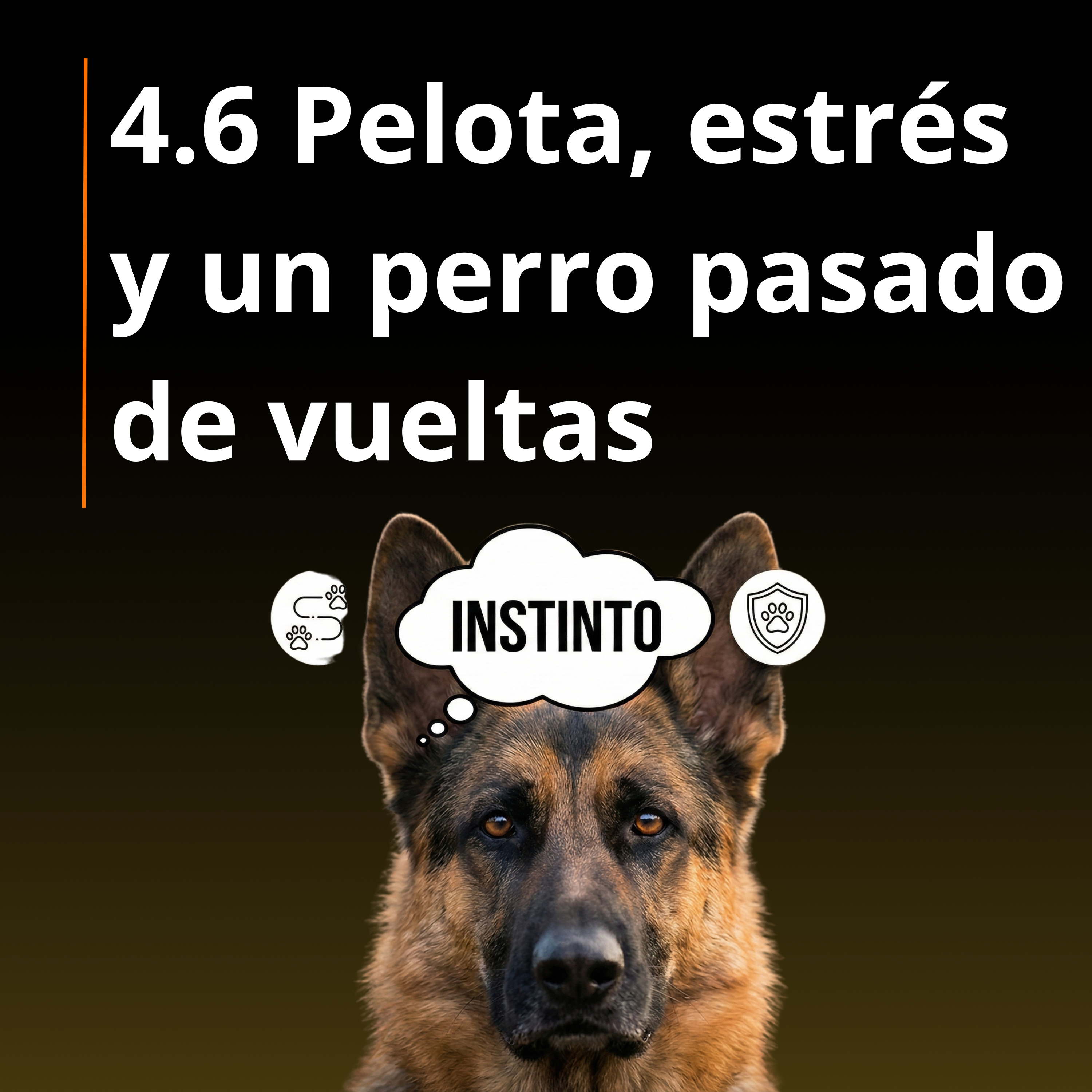 4.6 Pelota, estrés y un perro pasado de vueltas: el error más común episode artwork