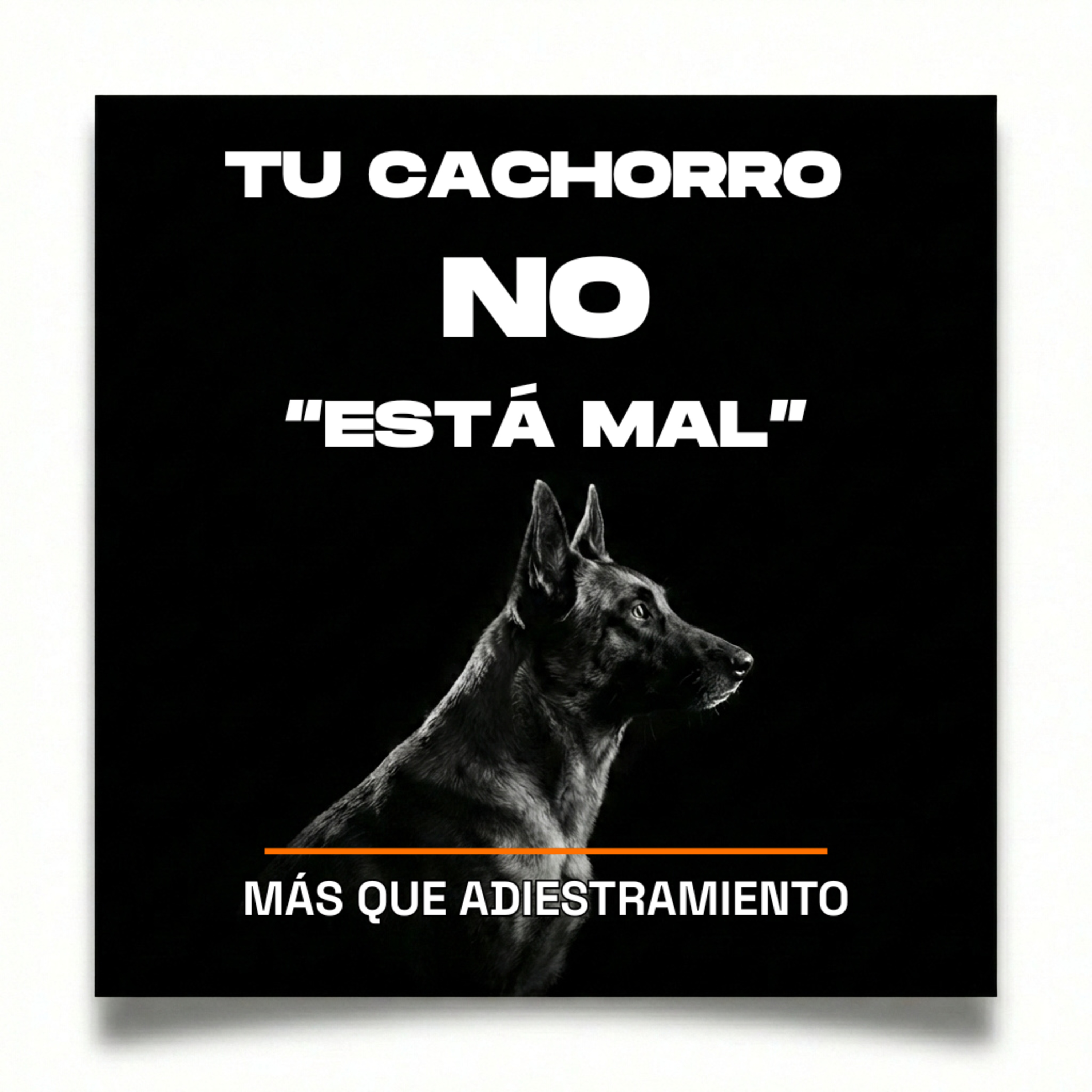 4.10 Tu cachorro no está “mal”: estás mirando el problema desde el sitio equivocado episode artwork