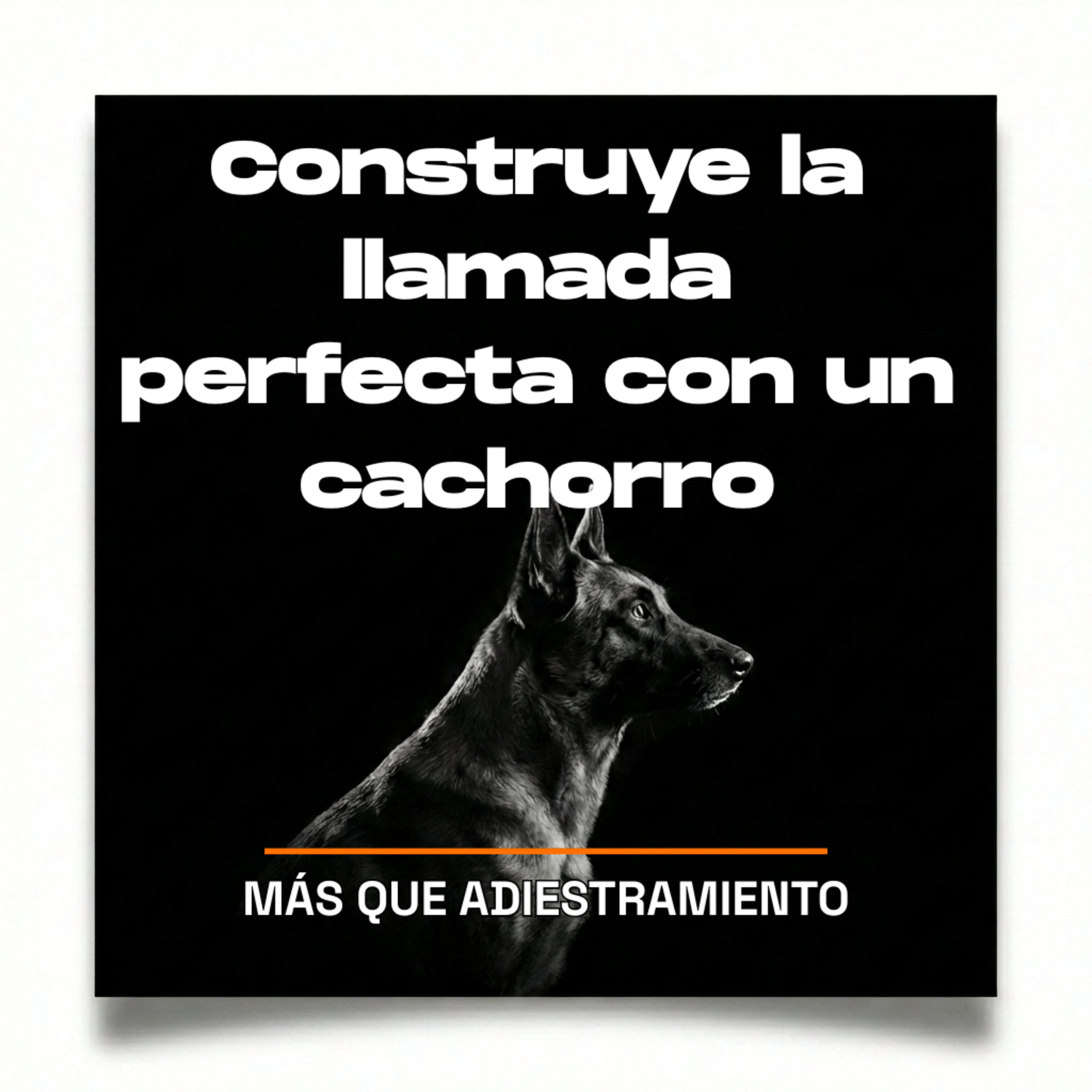 4.13 Construye la llamada perfecta con un cachorro episode artwork