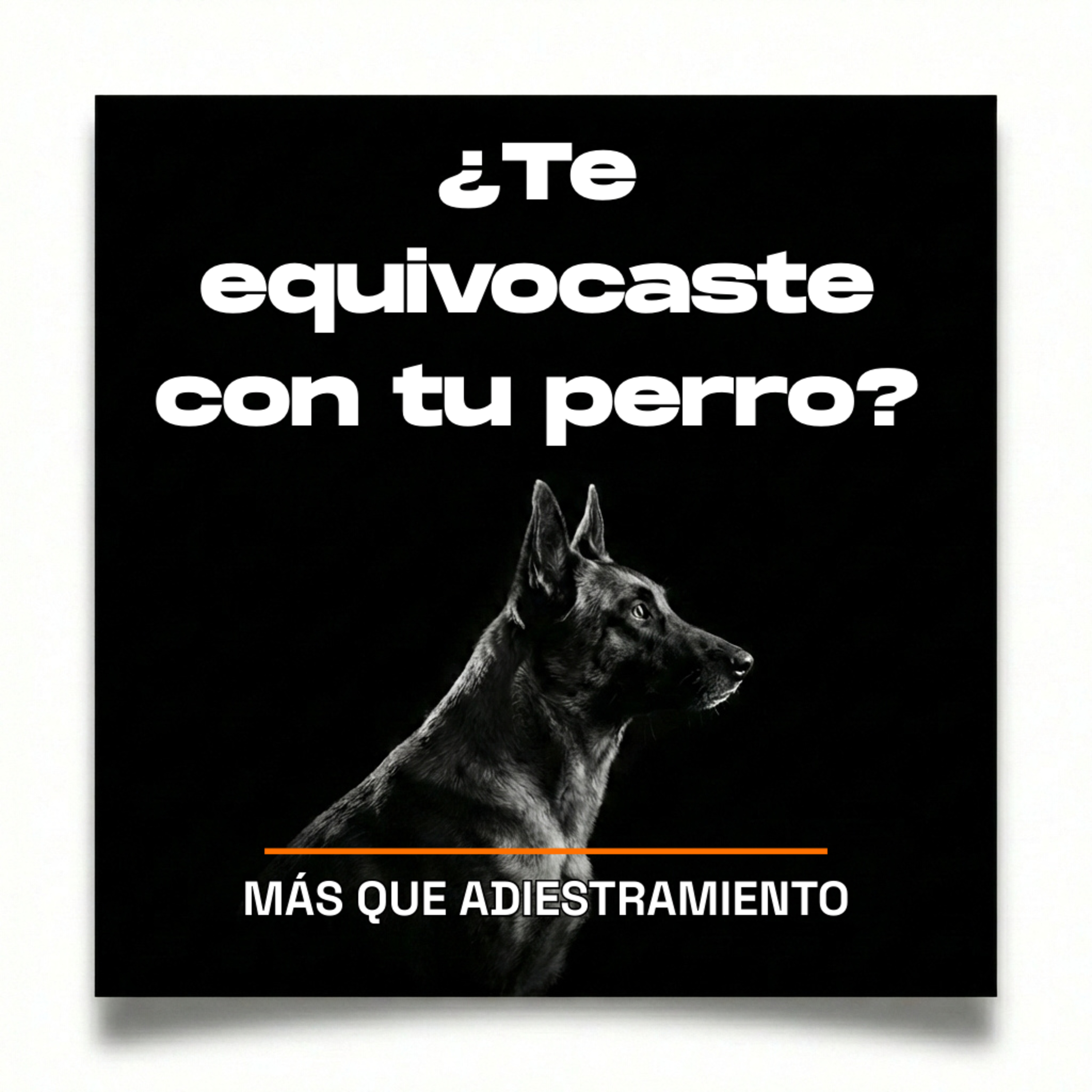 4.14 Tu perro no es lo que esperabas: cómo dejar de luchar contra eso episode artwork