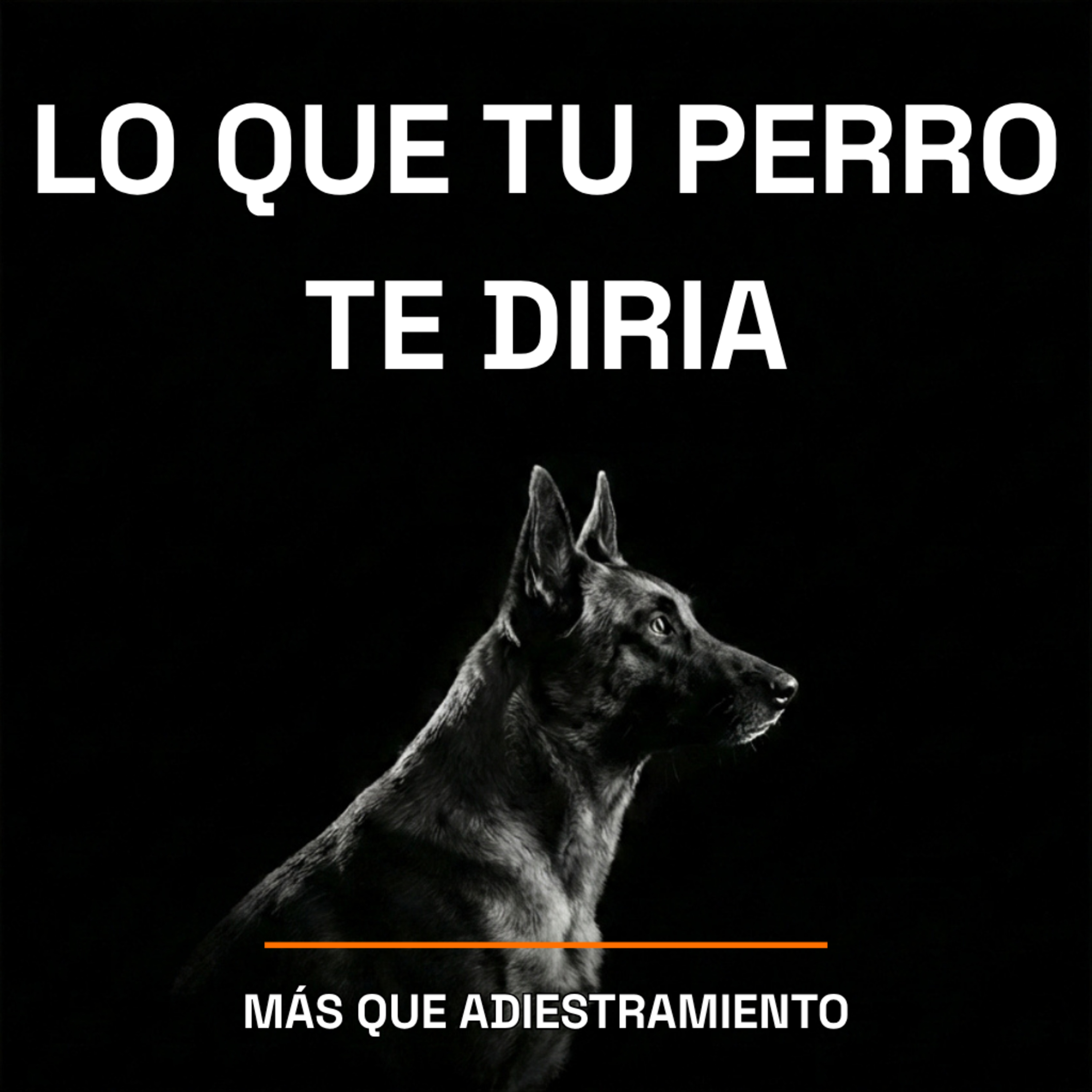 4.20 Lo que tu perro te pediría si pudiera hablar episode artwork