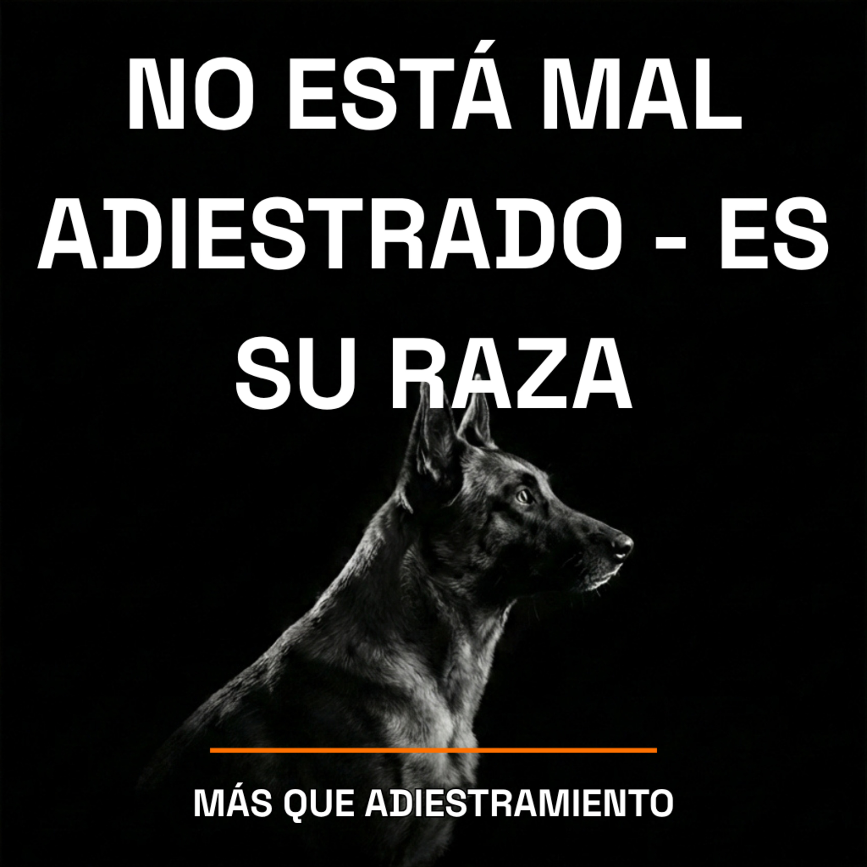 4.23 Tu perro no está mal adiestrado - está haciendo lo que su raza le pide episode artwork