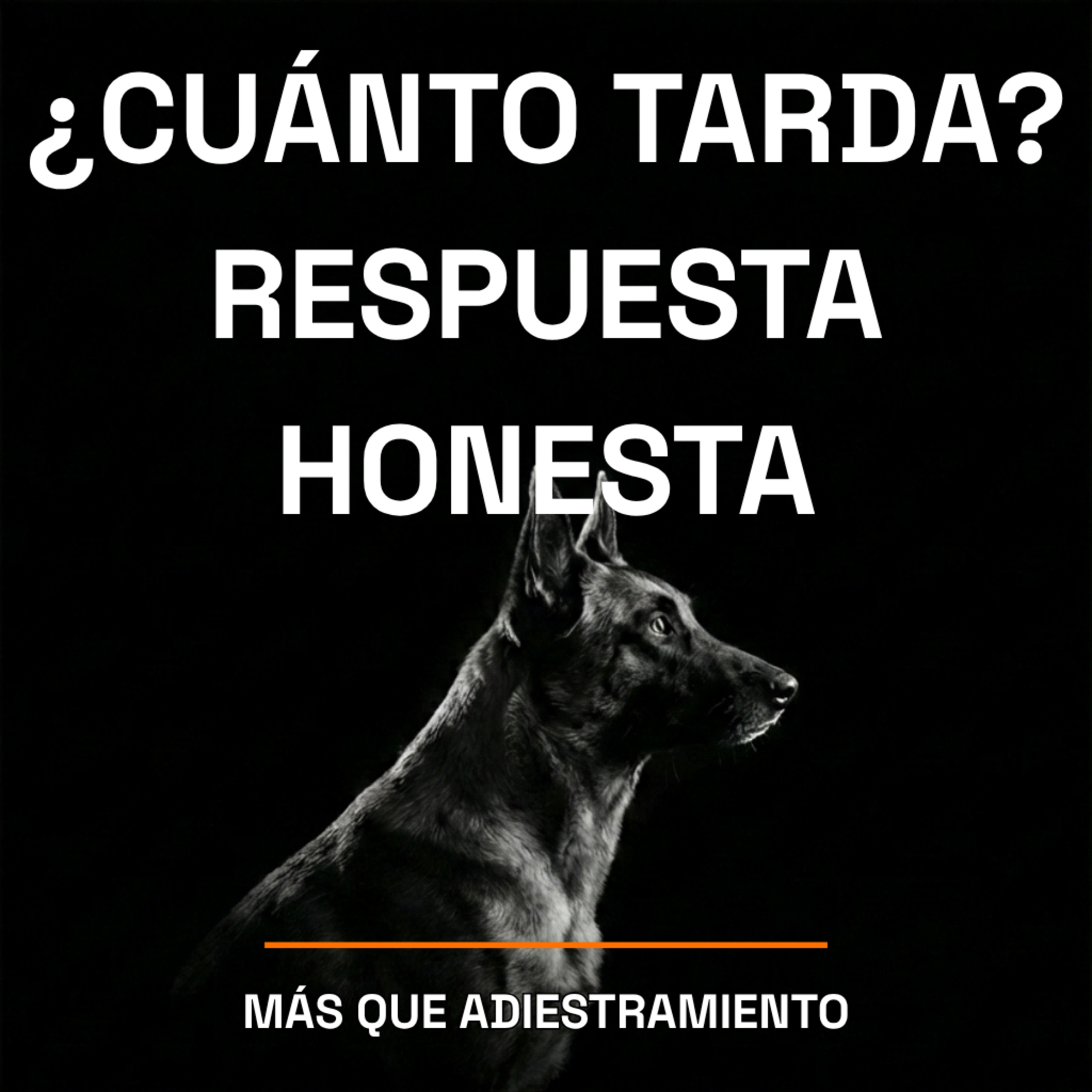 4.24 "¿Cuánto tarda en arreglarse?" - La respuesta que nadie quiere escuchar episode artwork