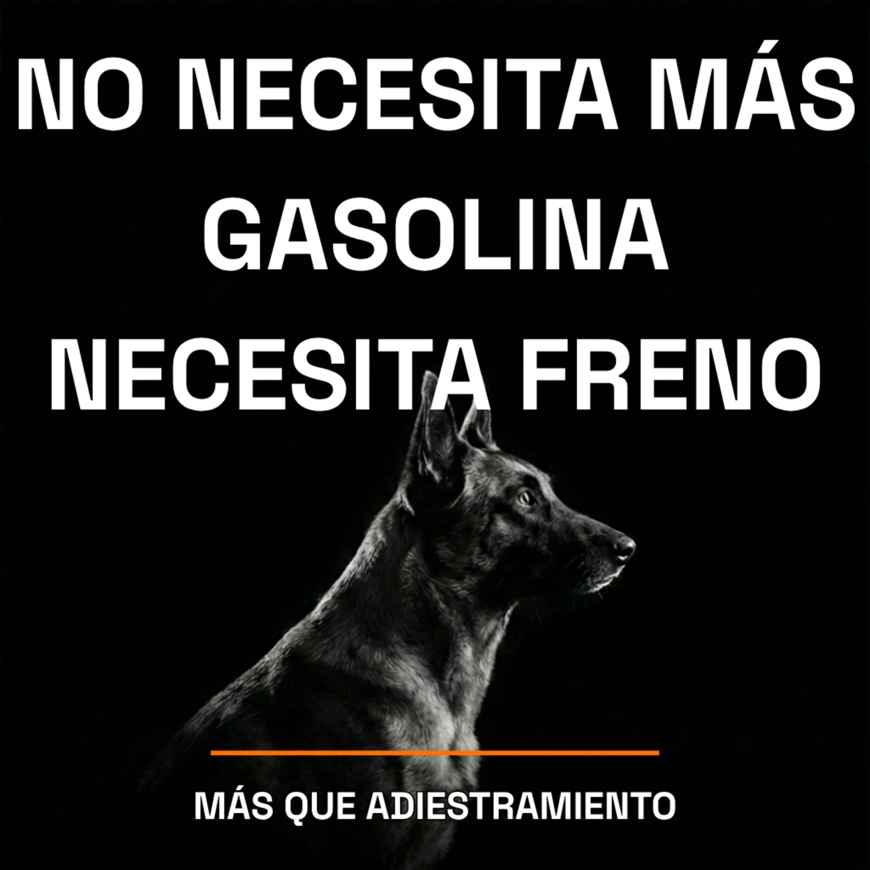 4.25 Enciende y Apaga a tu Perro cuando quieras episode artwork