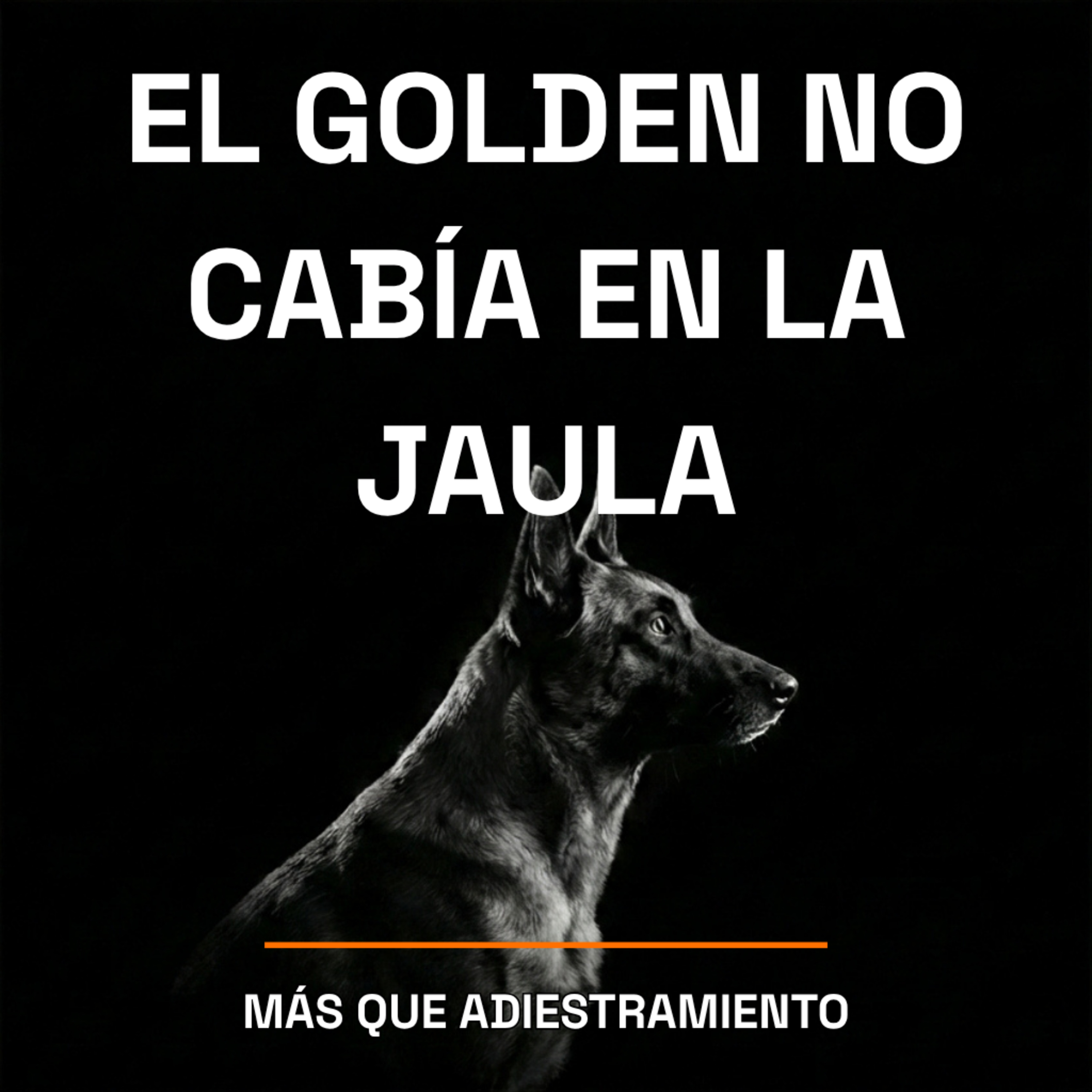 4.26 Dos semanas en China mirando a los perros episode artwork