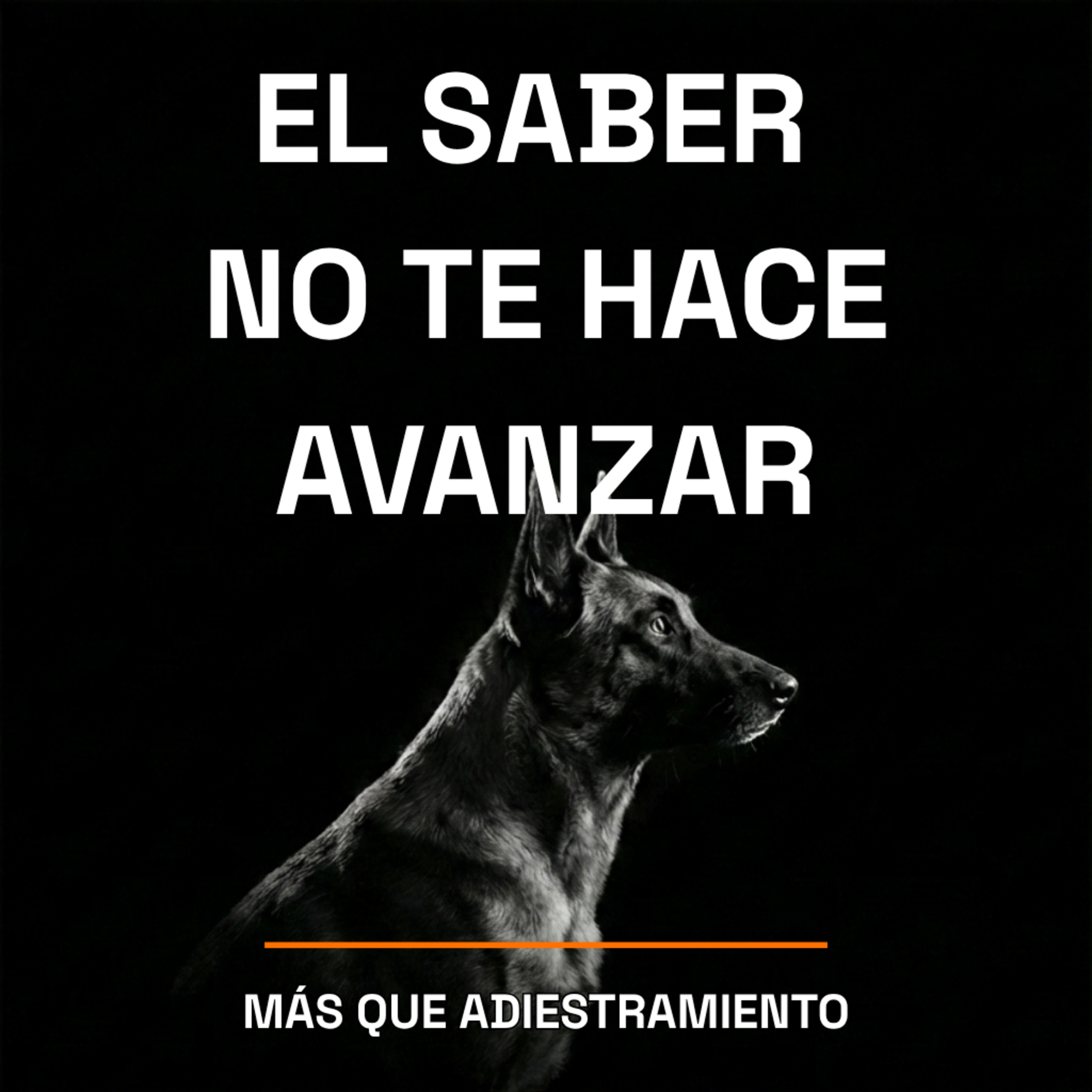 4.27 Por qué saber de adiestramiento canino no te sirve si no implementas episode artwork