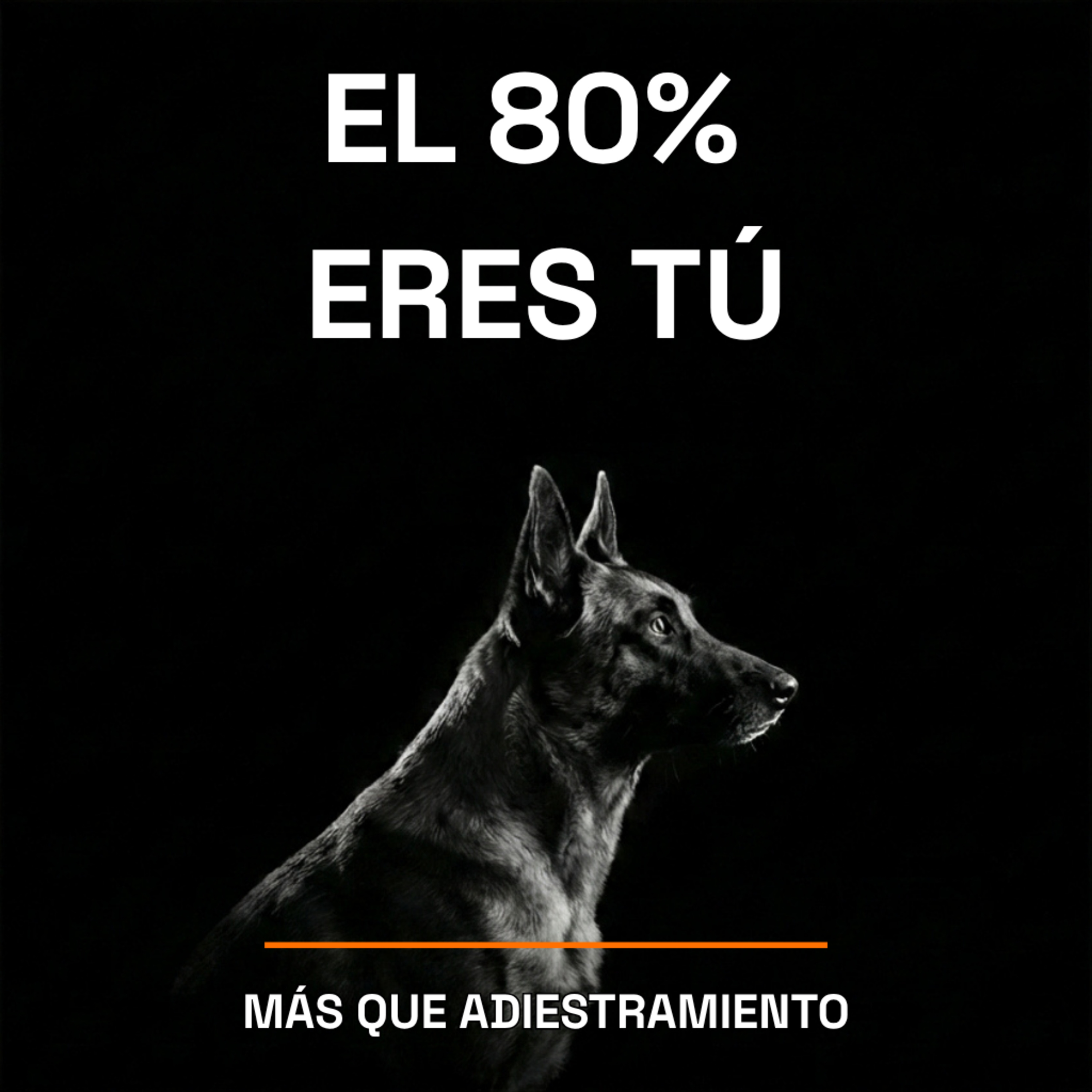 4.29 Lo que de verdad pasa en una primera sesión de adiestramiento episode artwork