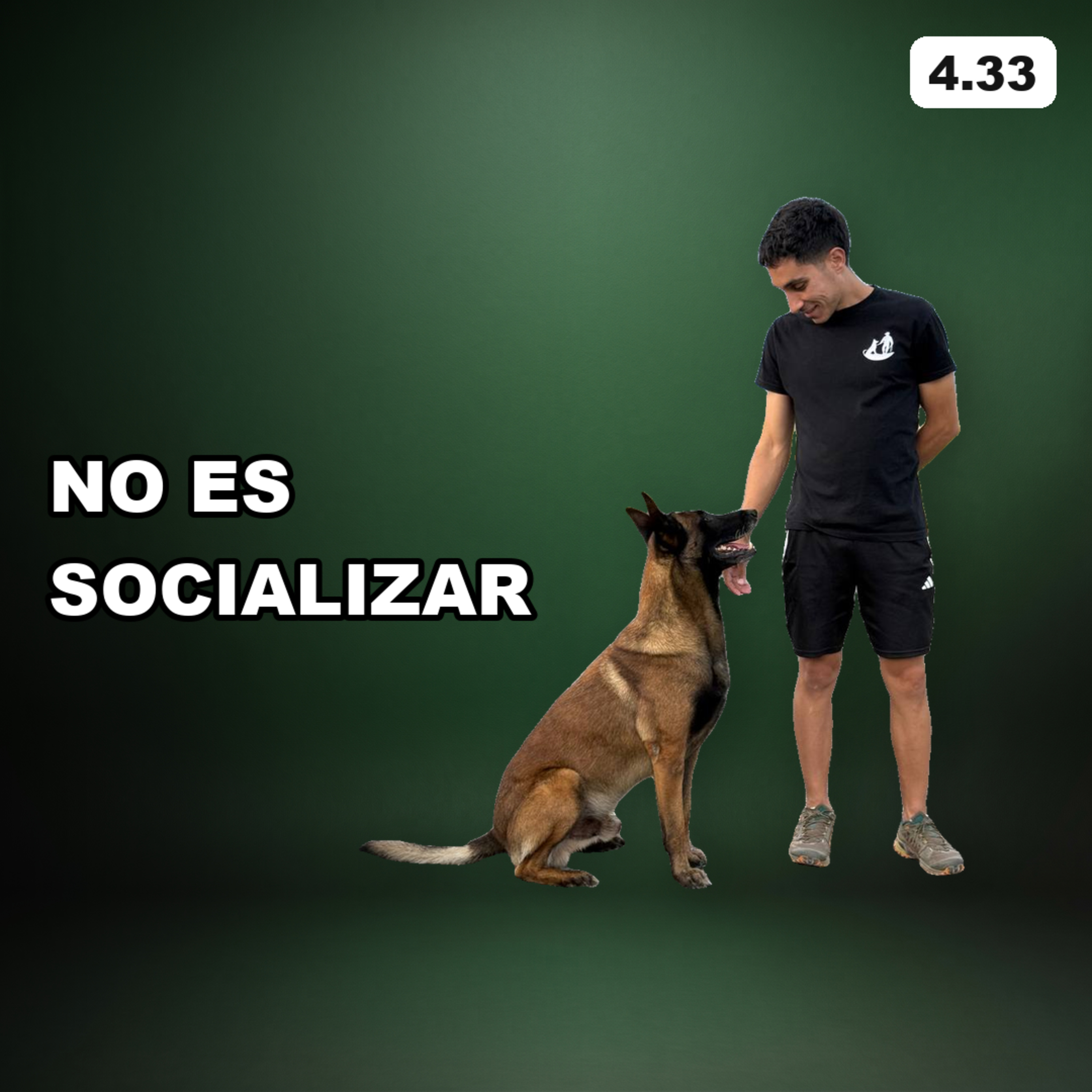 4.33 Deja de llevar a tu perro al parque de perros (recomendado) episode artwork