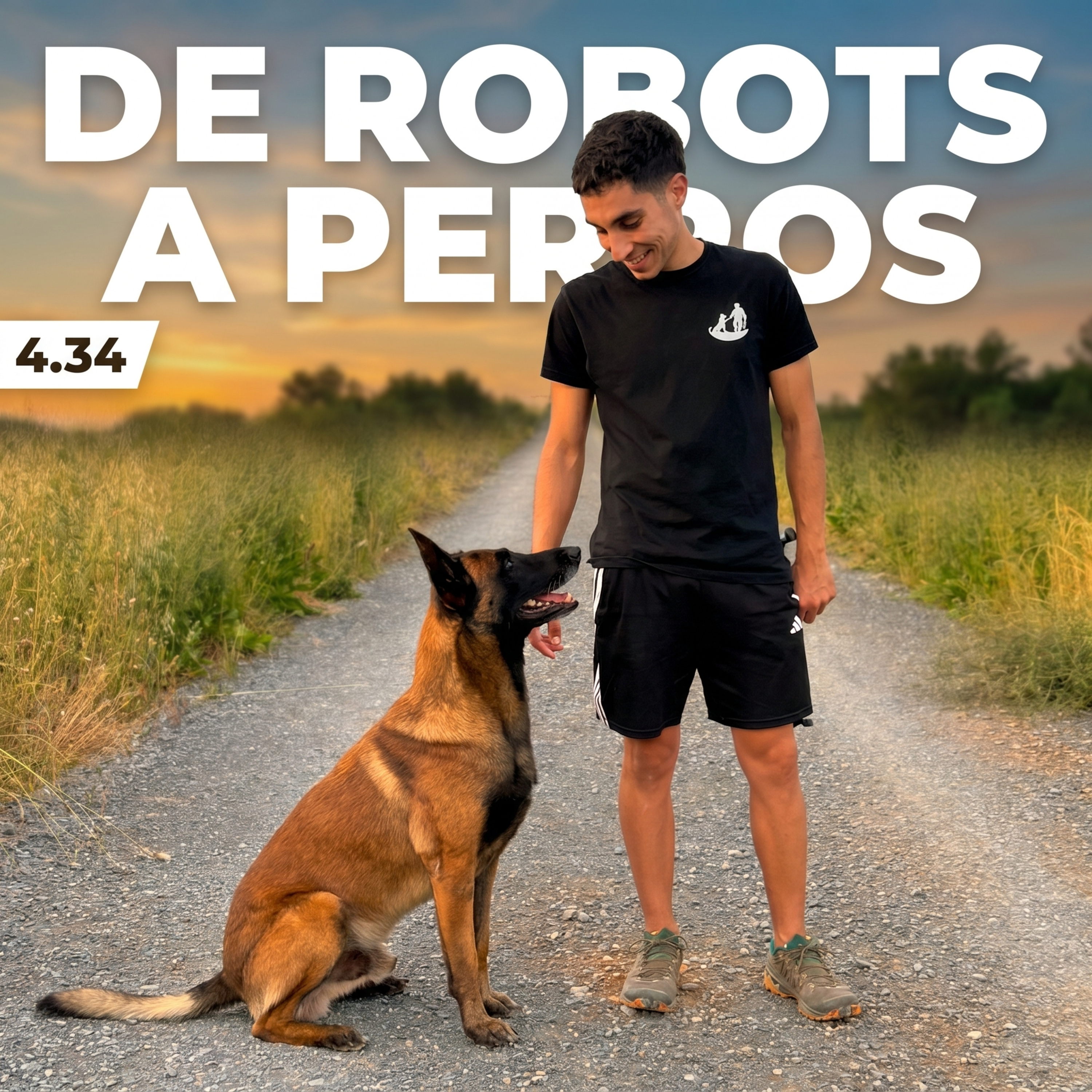 3.34 Lo que ser ingeniero me enseñó sobre adiestrar a tu perro episode artwork