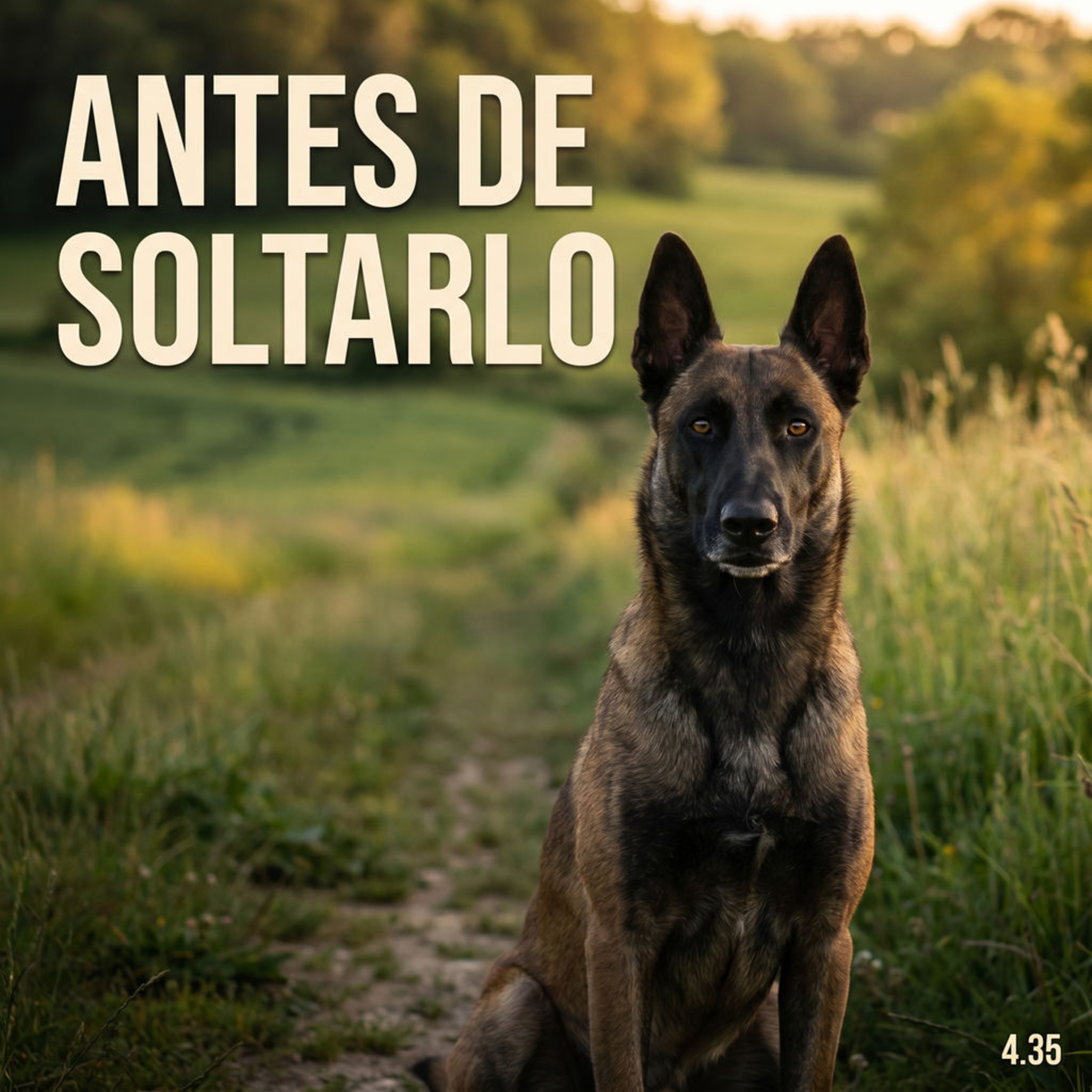 4.35 Soltar a tu Perro no es darle LIBERTAD episode artwork
