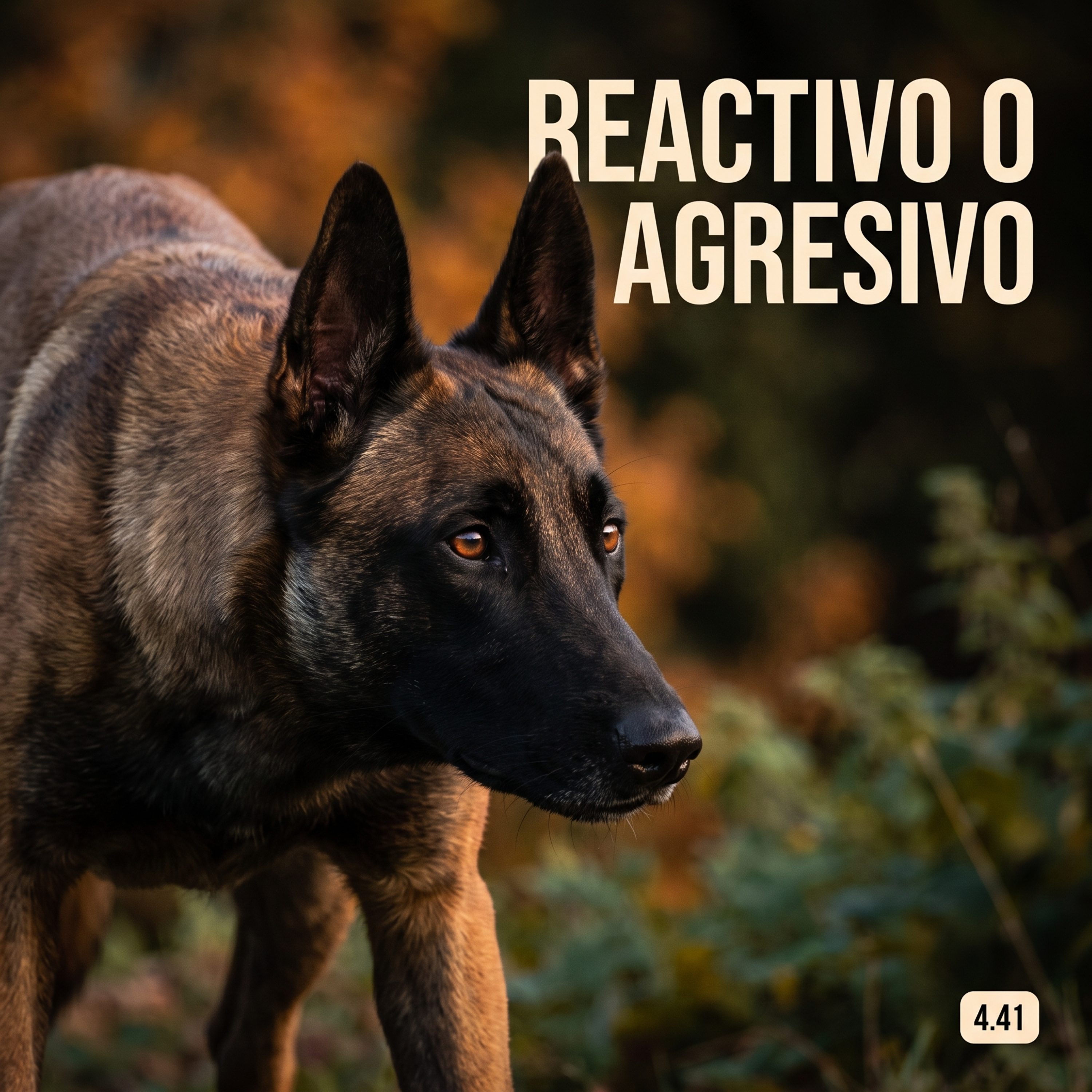 4.41 Perro reactivo o agresivo: cuál es la diferencia y cómo actuar episode artwork