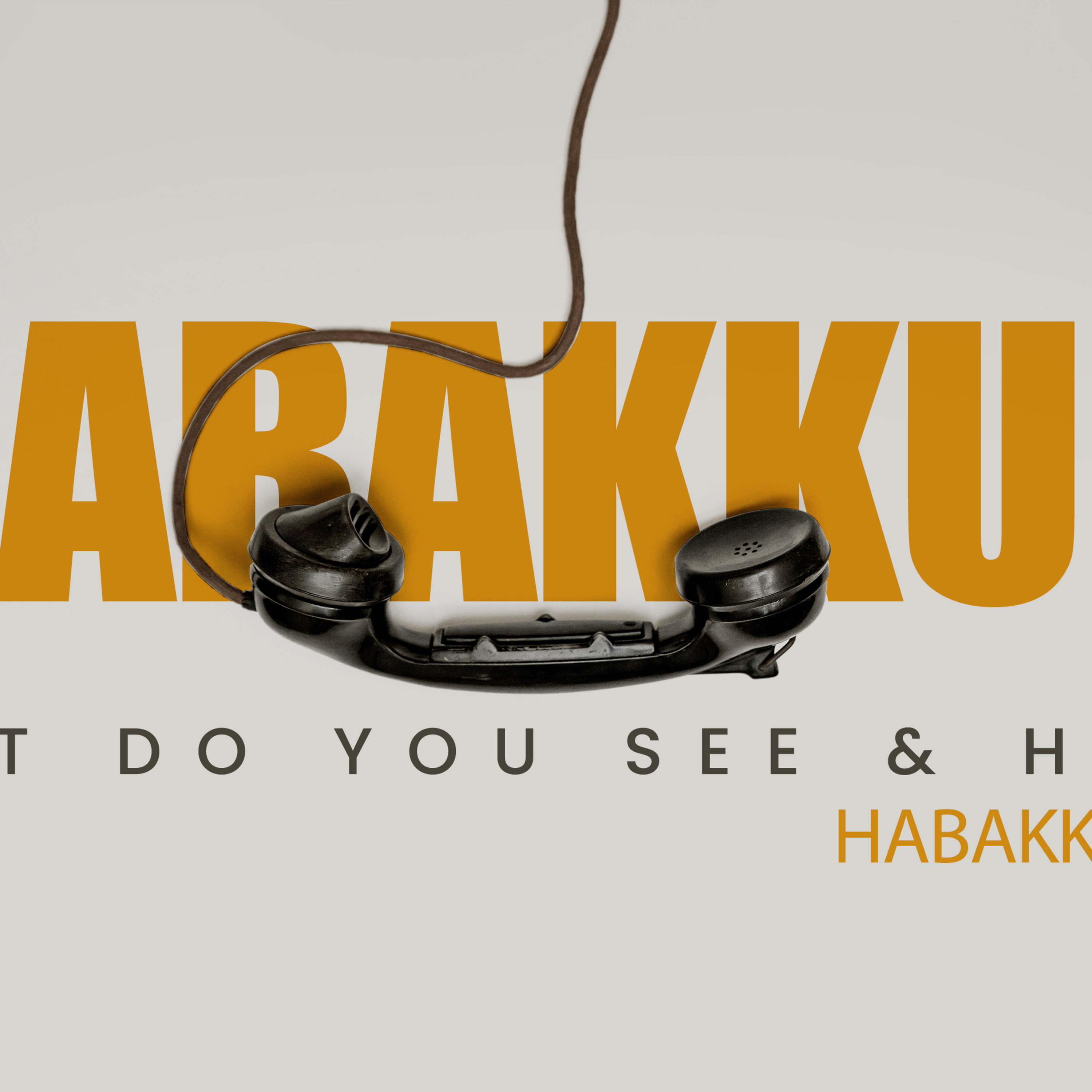 What Do You See & Hear? // May 4, 2025 episode artwork