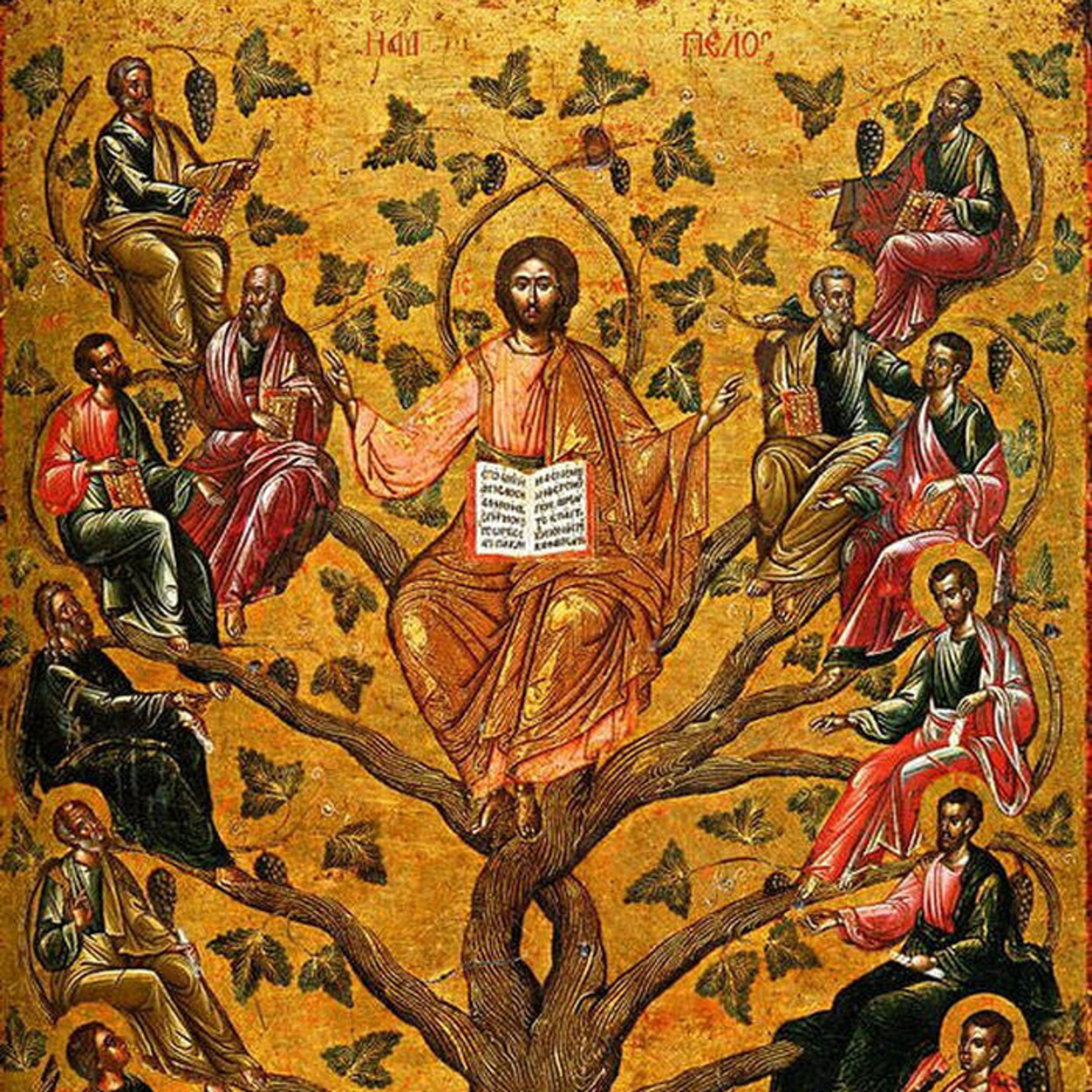 Maranatha! The Lord is coming to his Vineyard. episode artwork