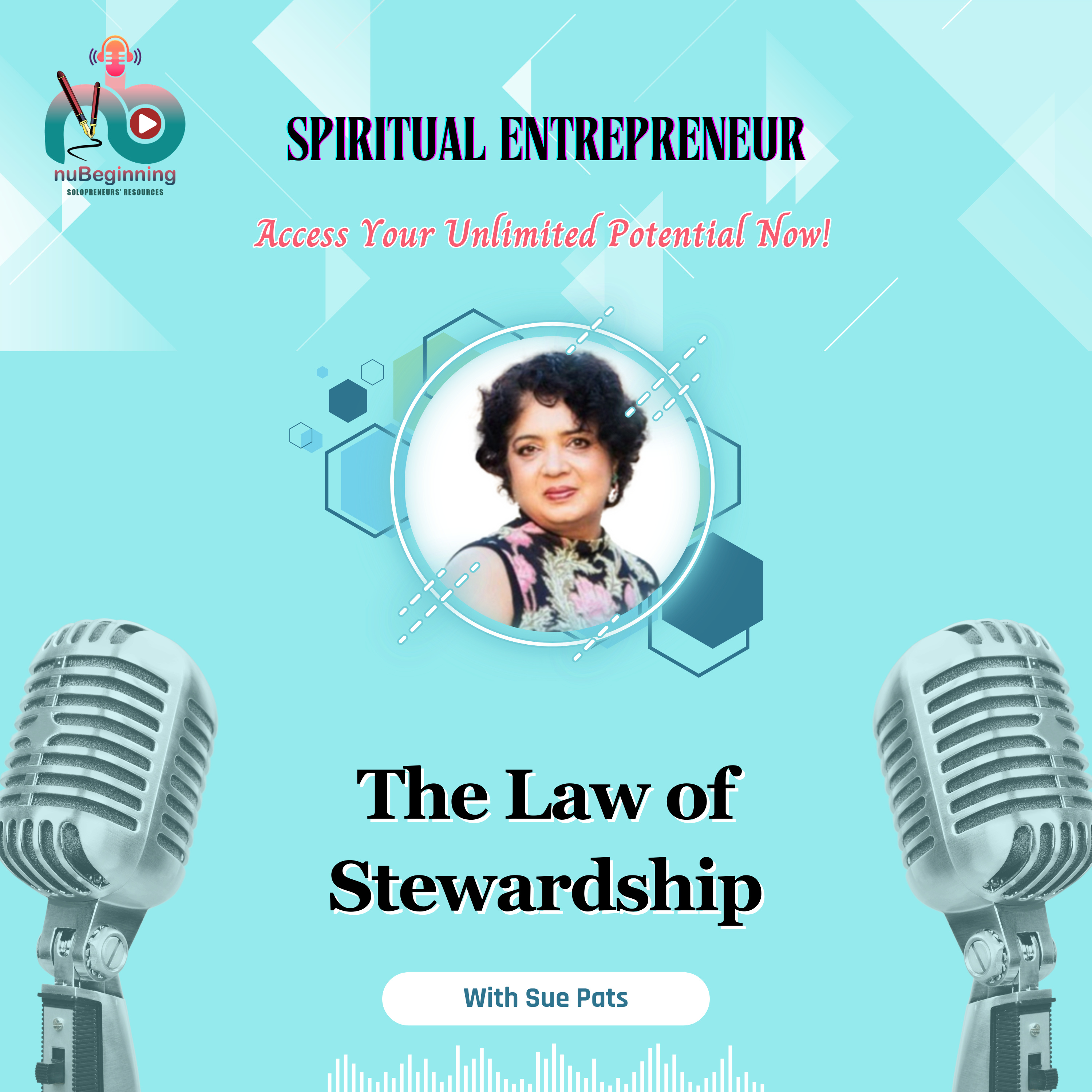 The Law of Stewardship for Entrepreneurs episode artwork