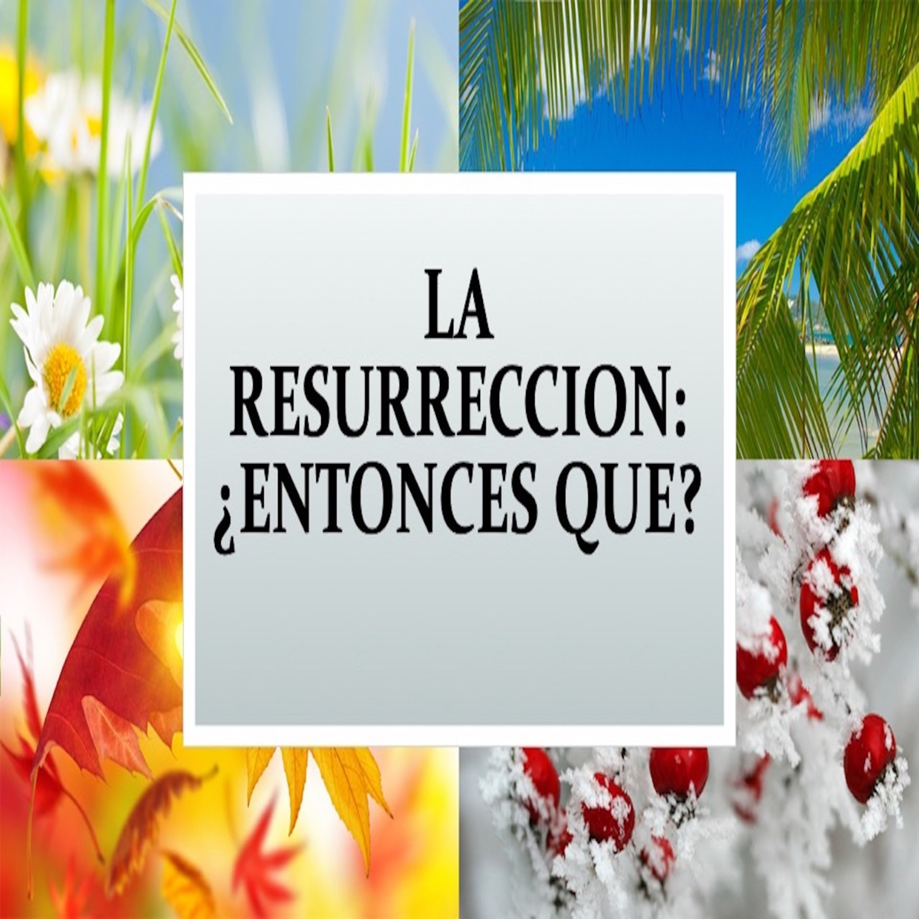 La Resurreccion: Entonces Que? episode artwork