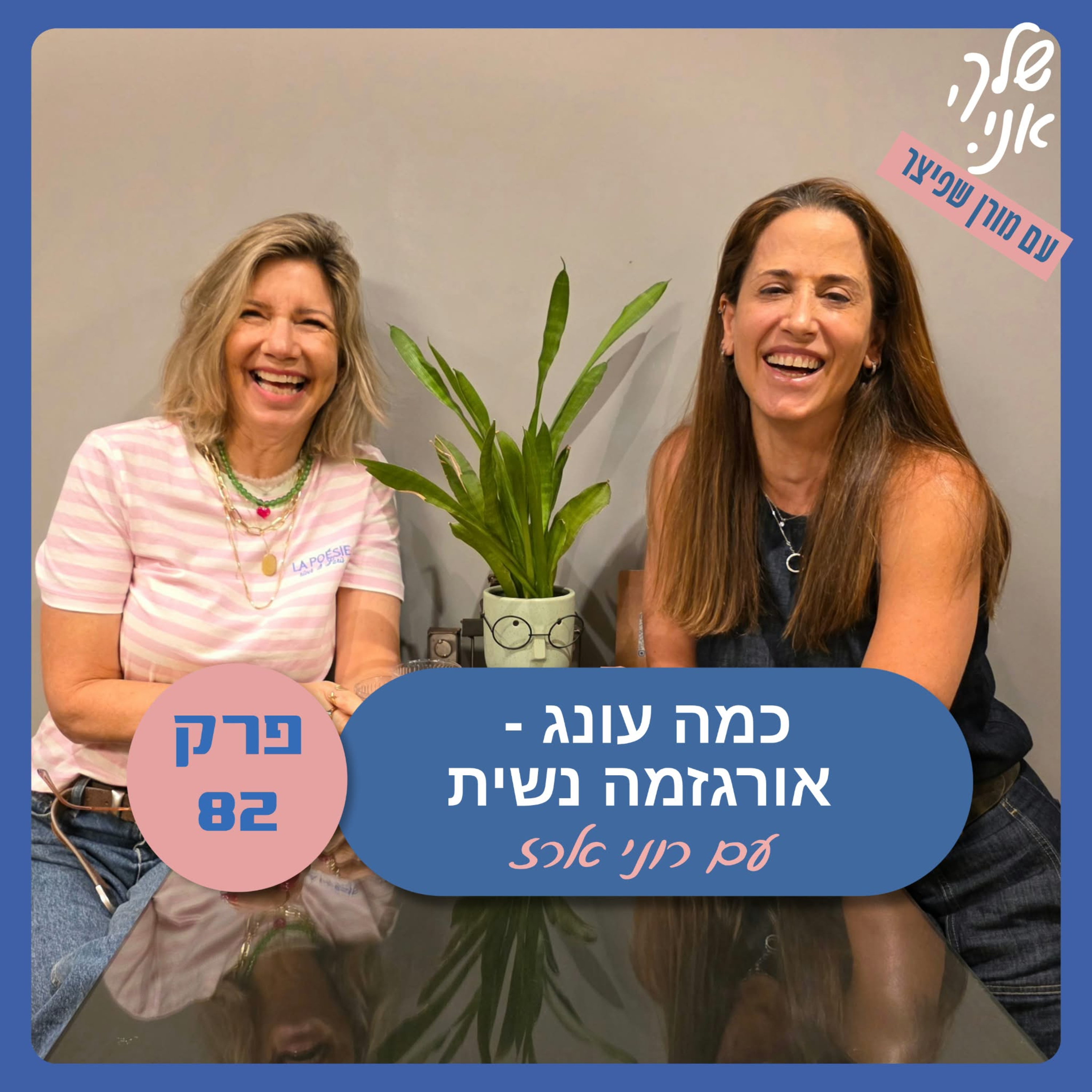 פרק 82: כמה עונג - אורגזמה נשית | עם רוני ארז. שלך אני episode artwork