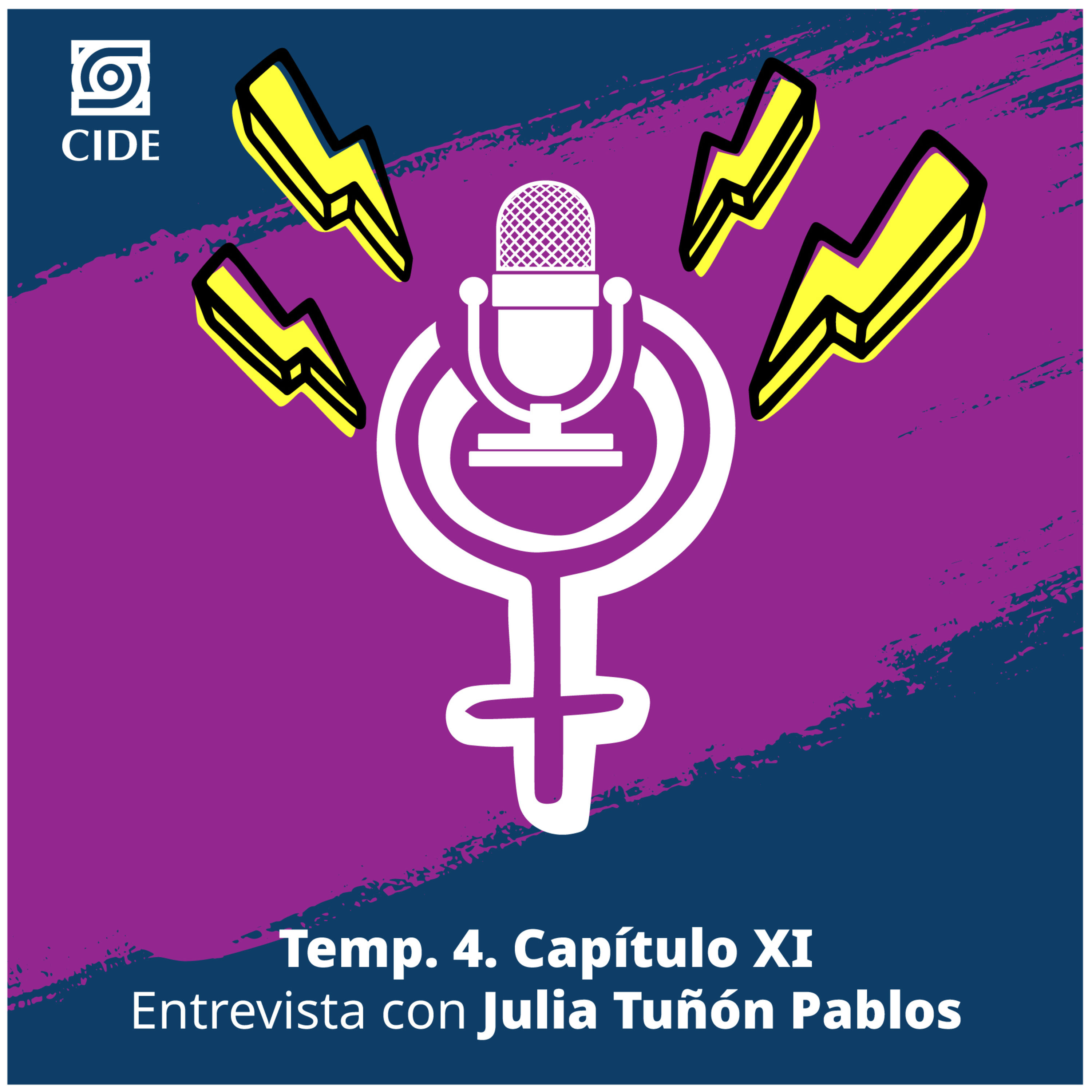 Un micrófono propio. Mujeres y feminismo