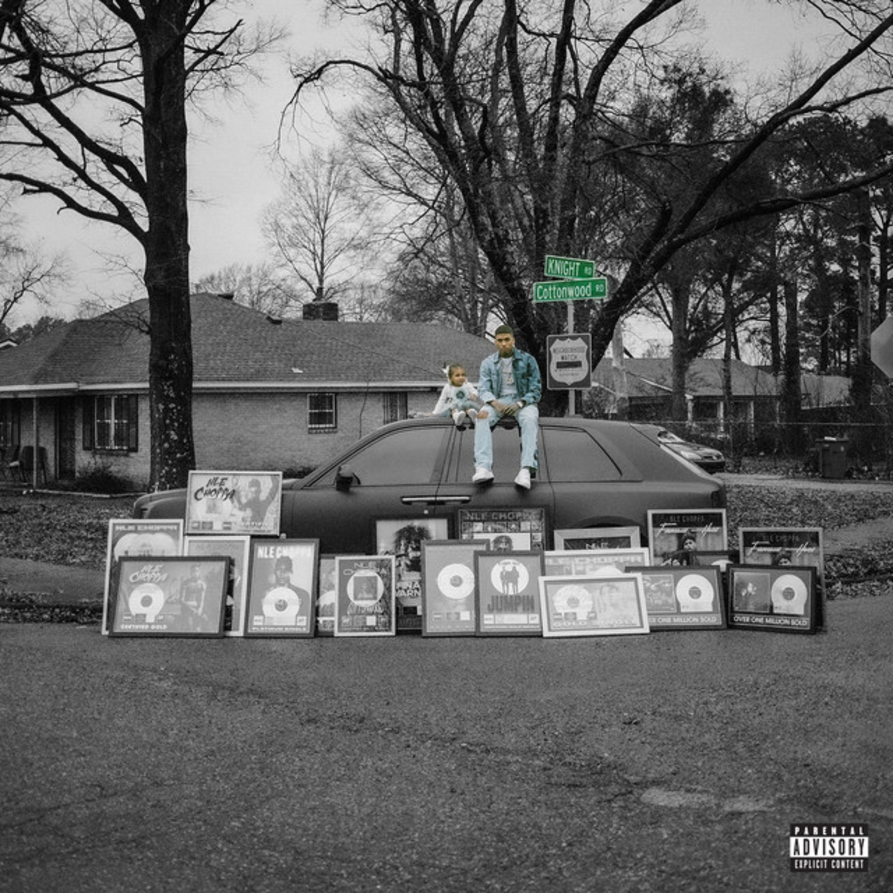 NLE Choppa - Cottonwood 2 Review episode artwork