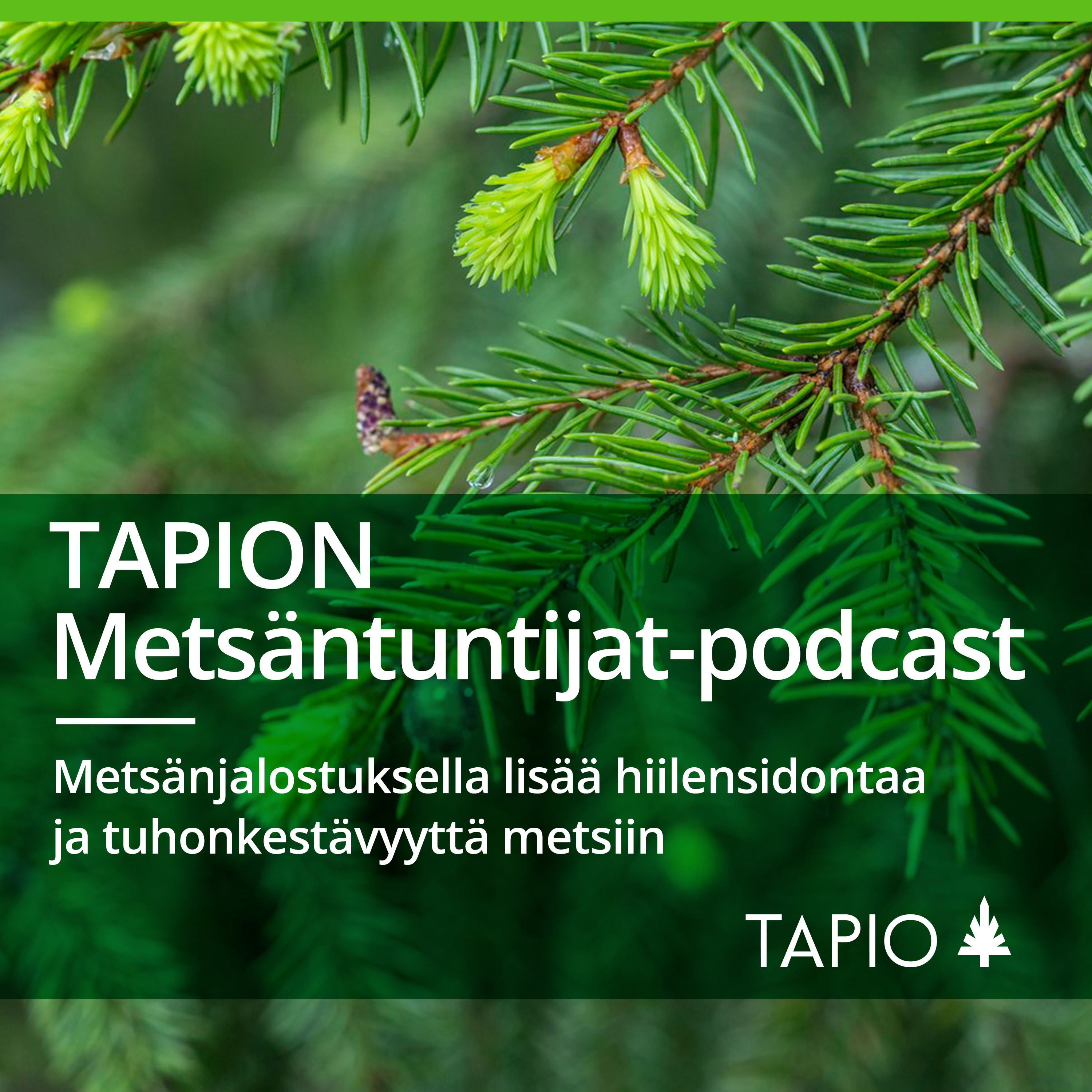 Metsäntuntijat-podcast