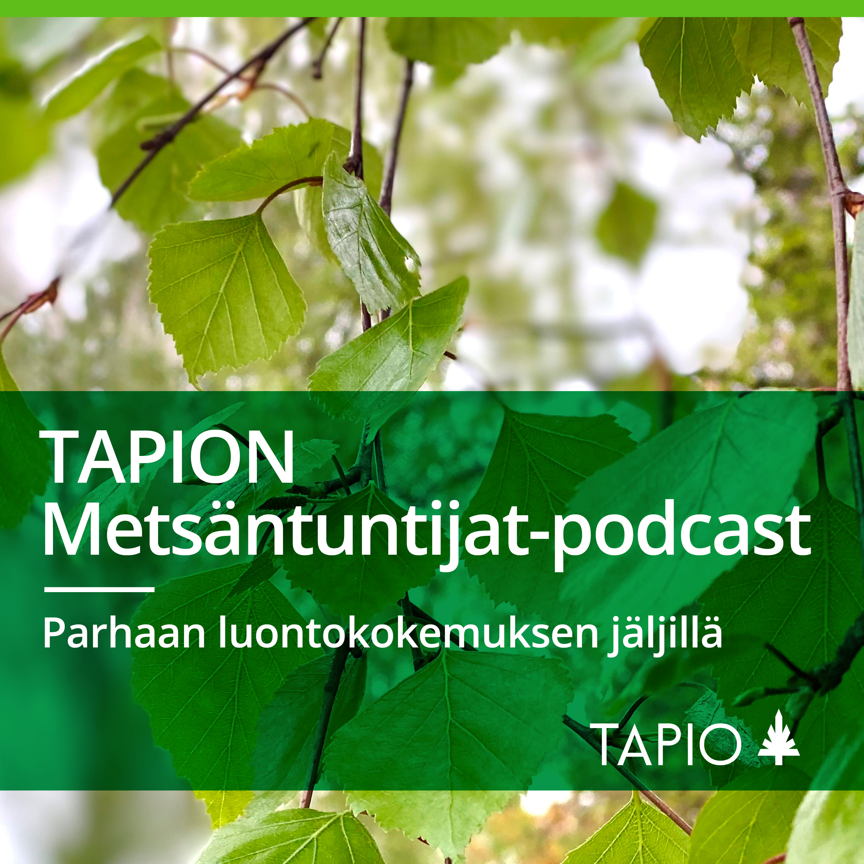 Metsäntuntijat-podcast