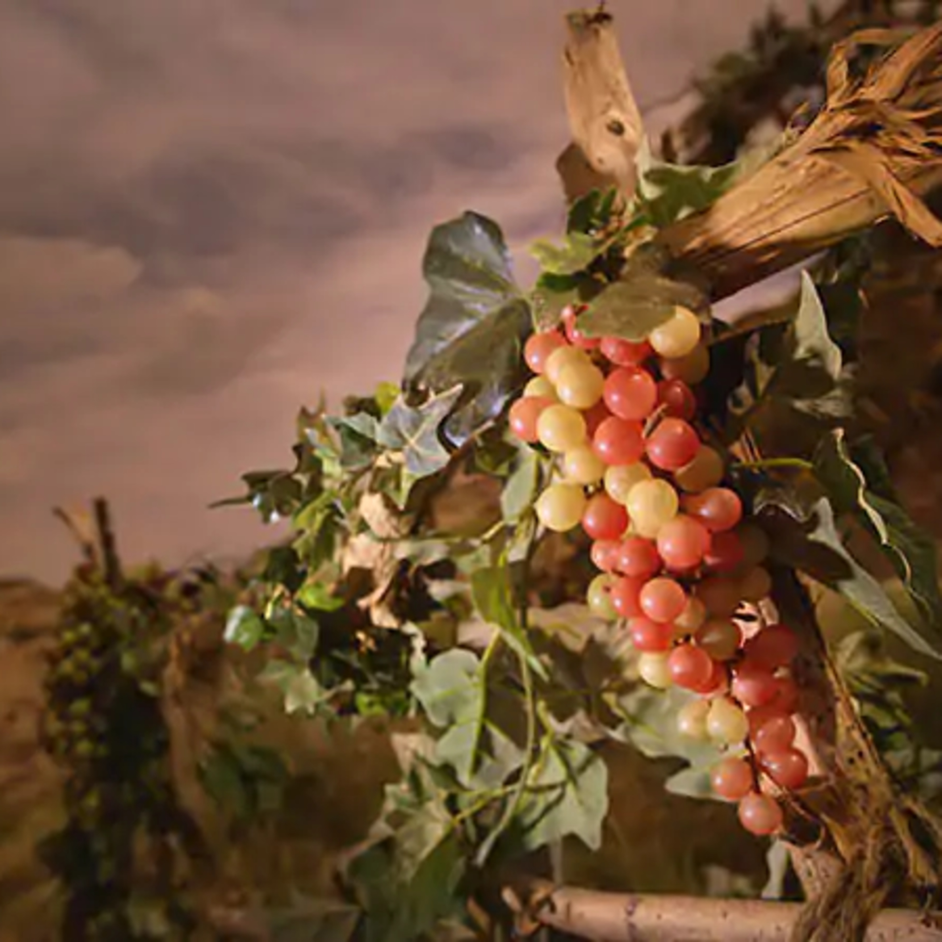 How can i learn from my mother St Mary to bear fruit? episode artwork