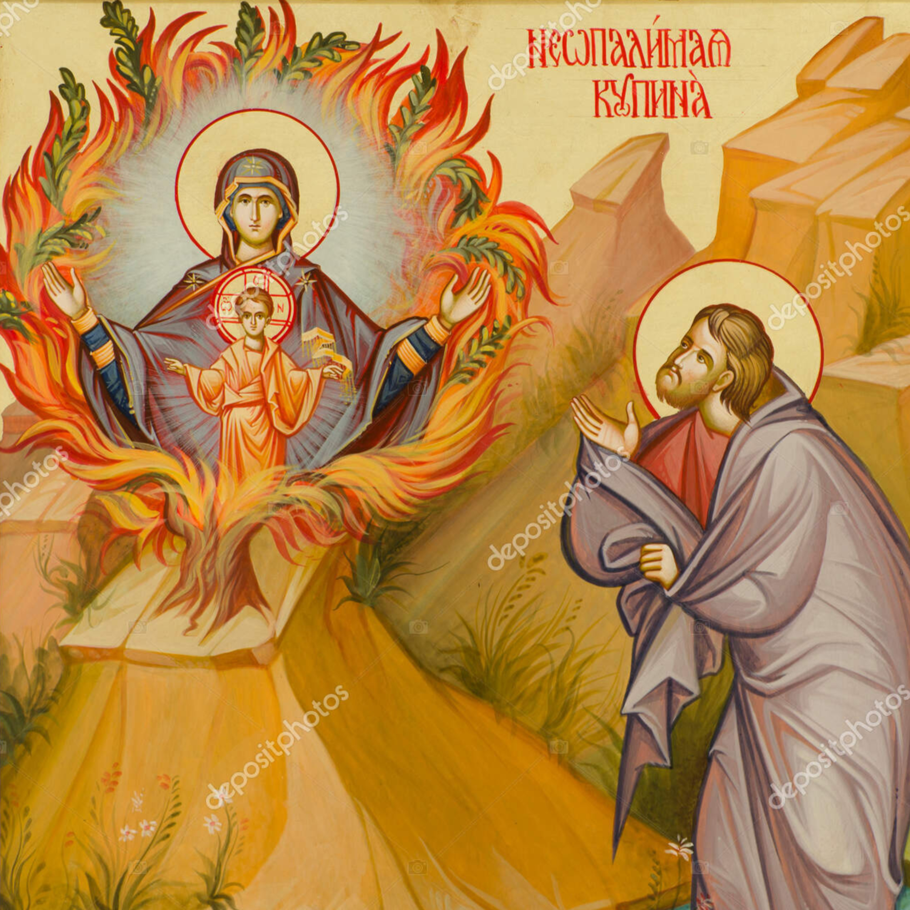 What Can We Do During Advent (Christmas Season)? episode artwork