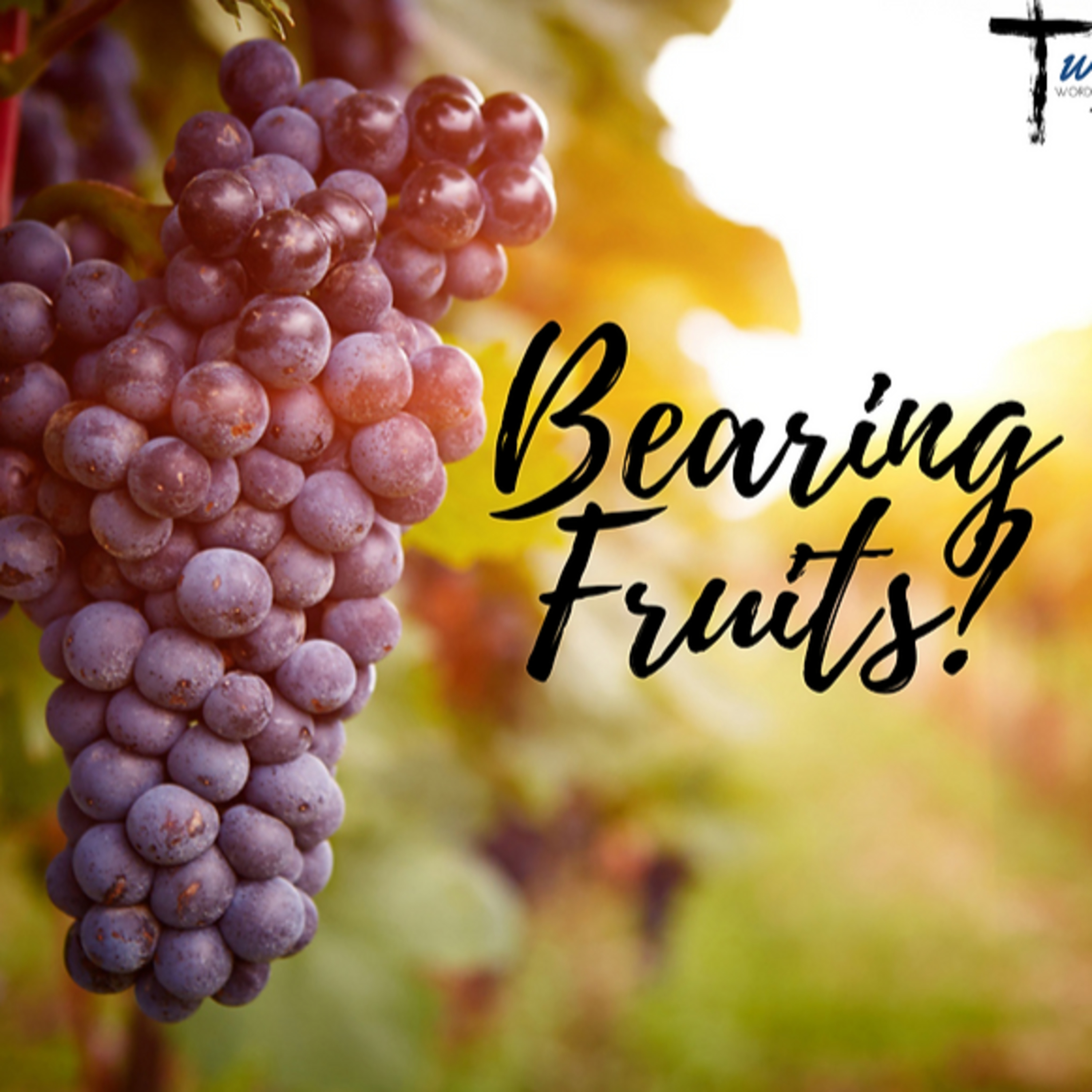 Bearing Fruits ! episode artwork