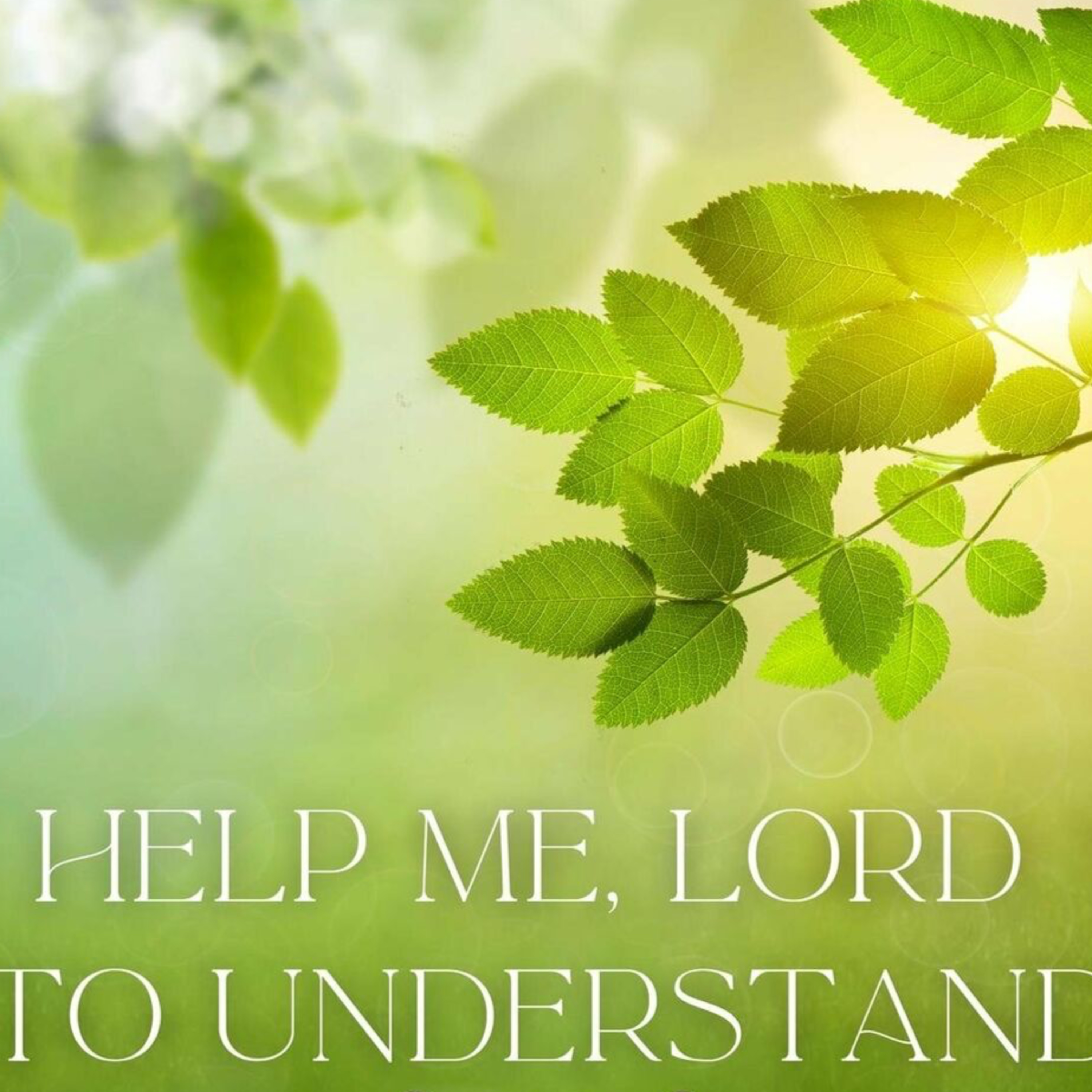 Lord Help Me To Understand! episode artwork