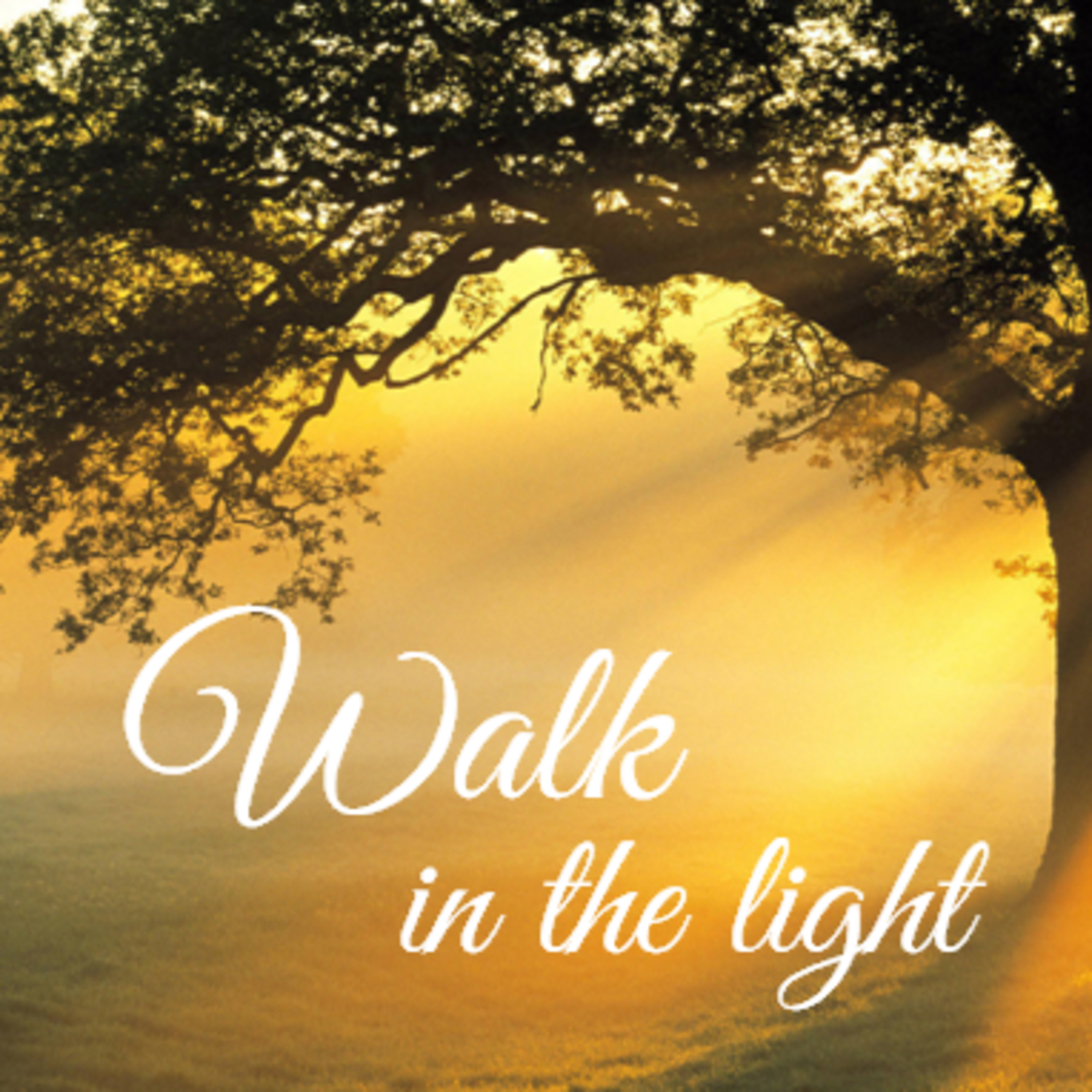 Walk in the Light! episode artwork