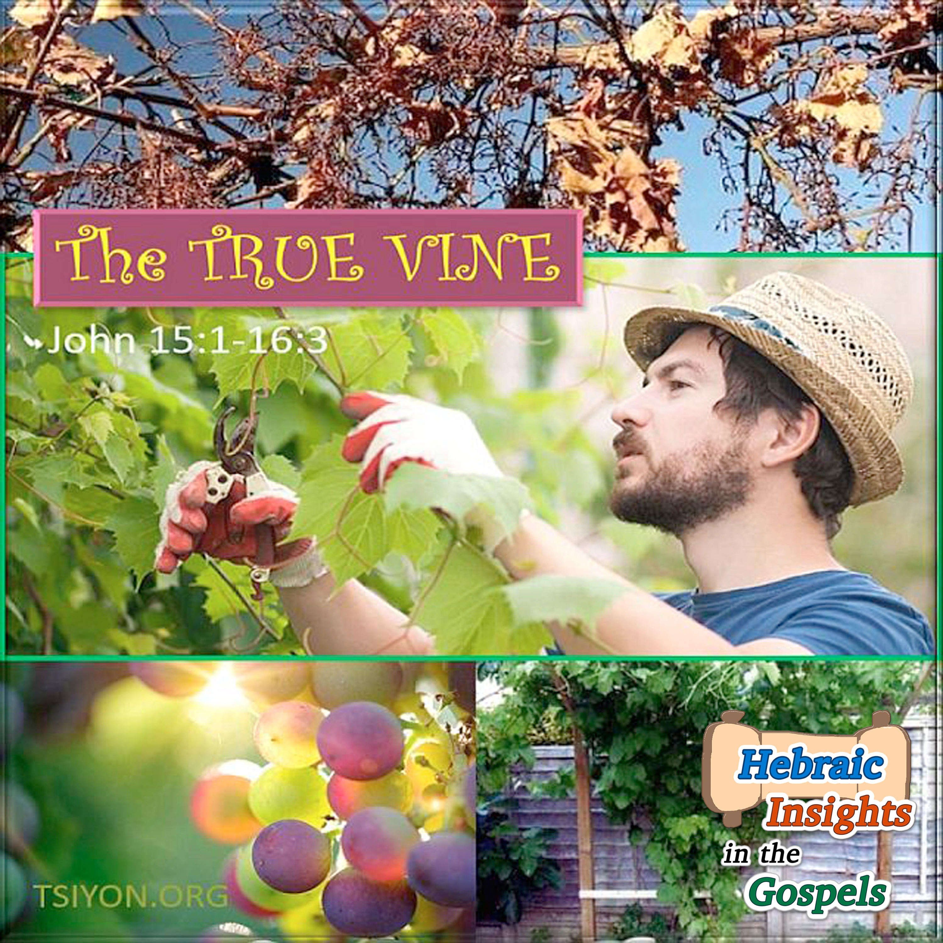 S4 Ep20 - John 15:1-16:3 - The True Vine
