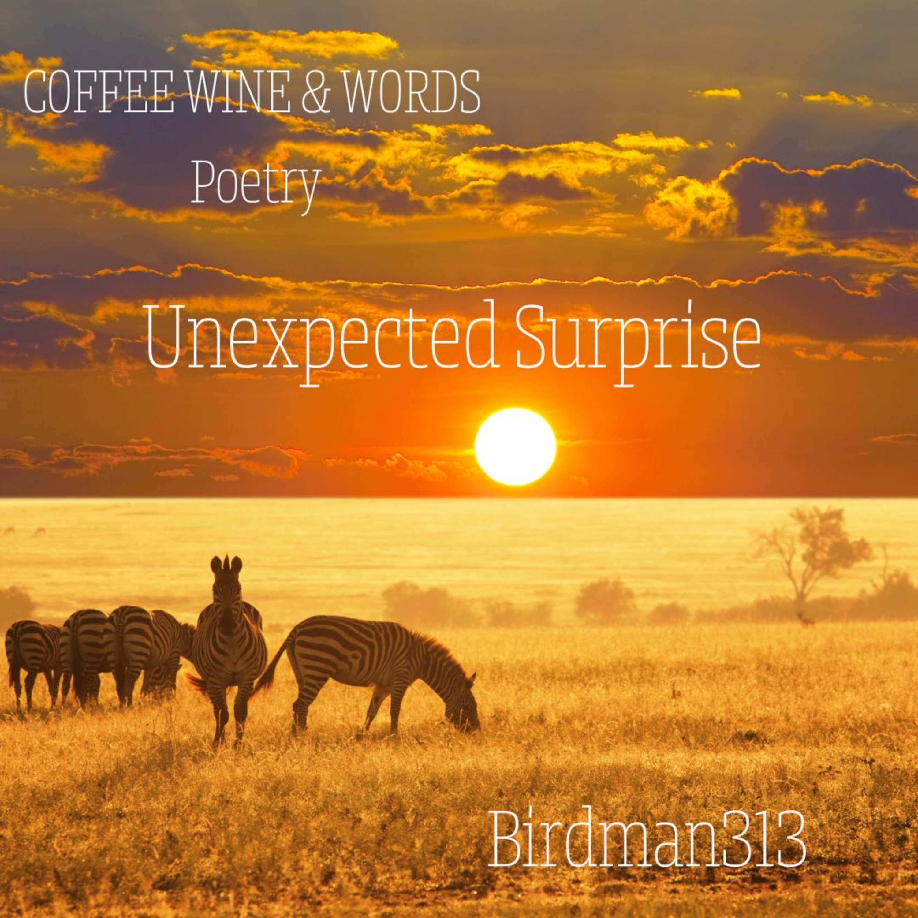 COFFEE WINE and WORDS Poetry