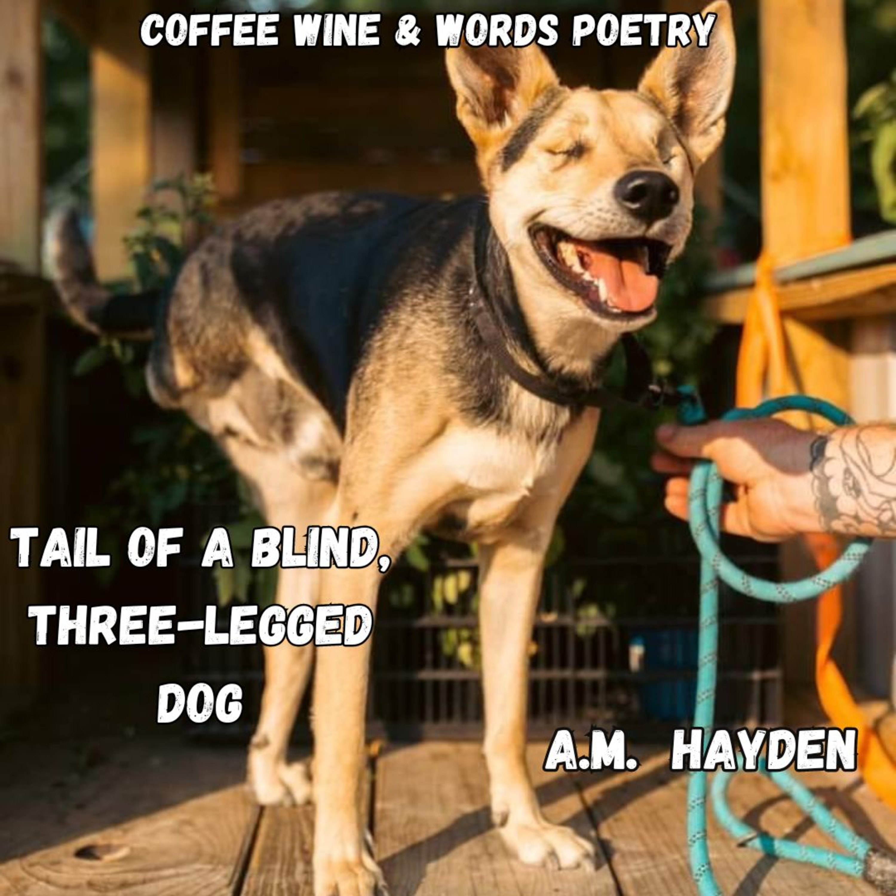 COFFEE WINE and WORDS Poetry