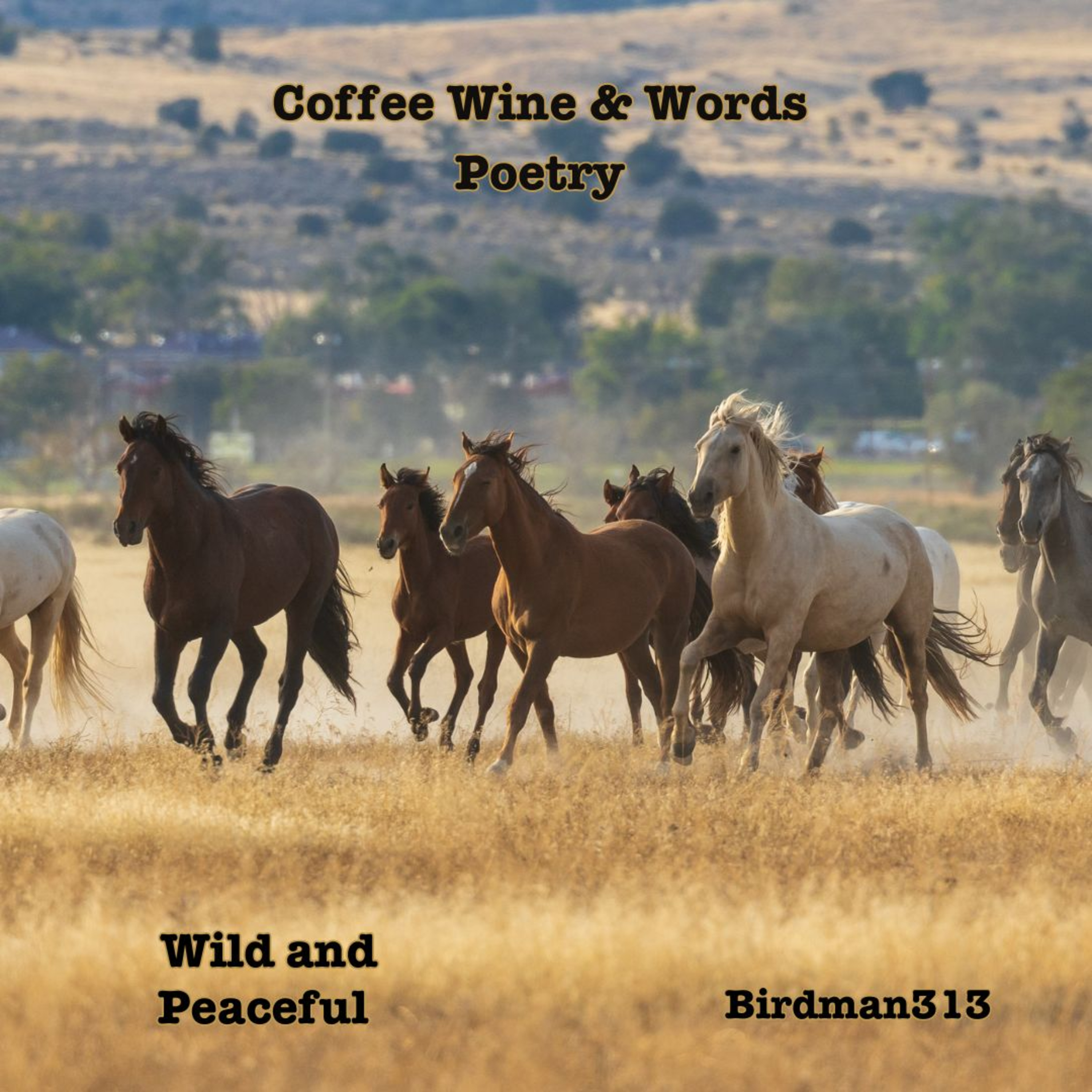 COFFEE WINE and WORDS Poetry